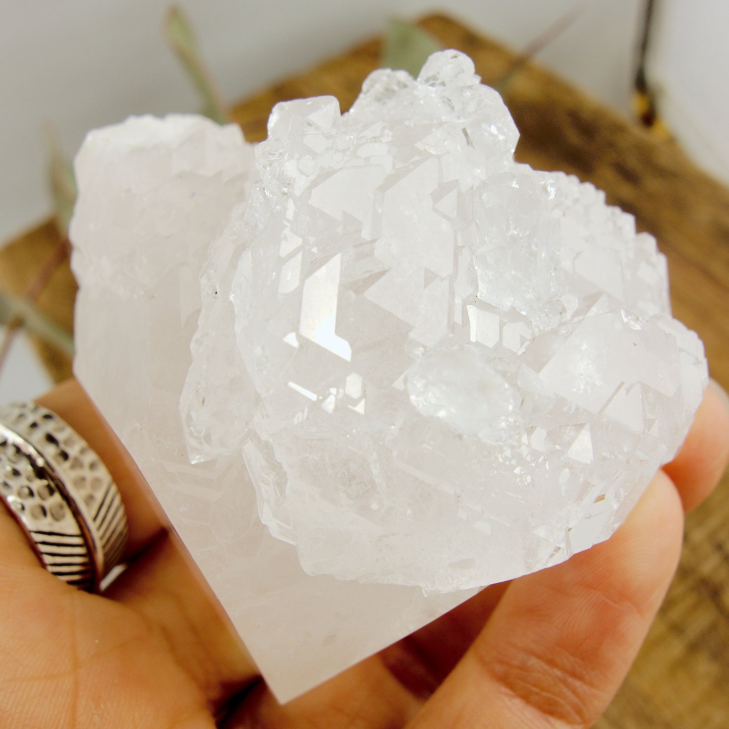 Incredible Self Healed Elestial Clear Quartz Point With Record Keepers From Brazil
