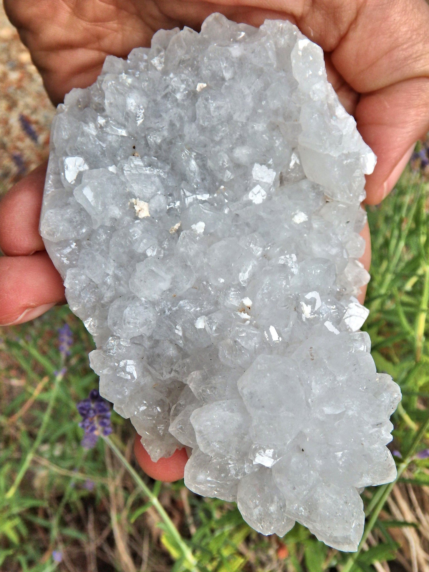  Brilliant Sparkle Clear Quartz Stalactite Cluster From India