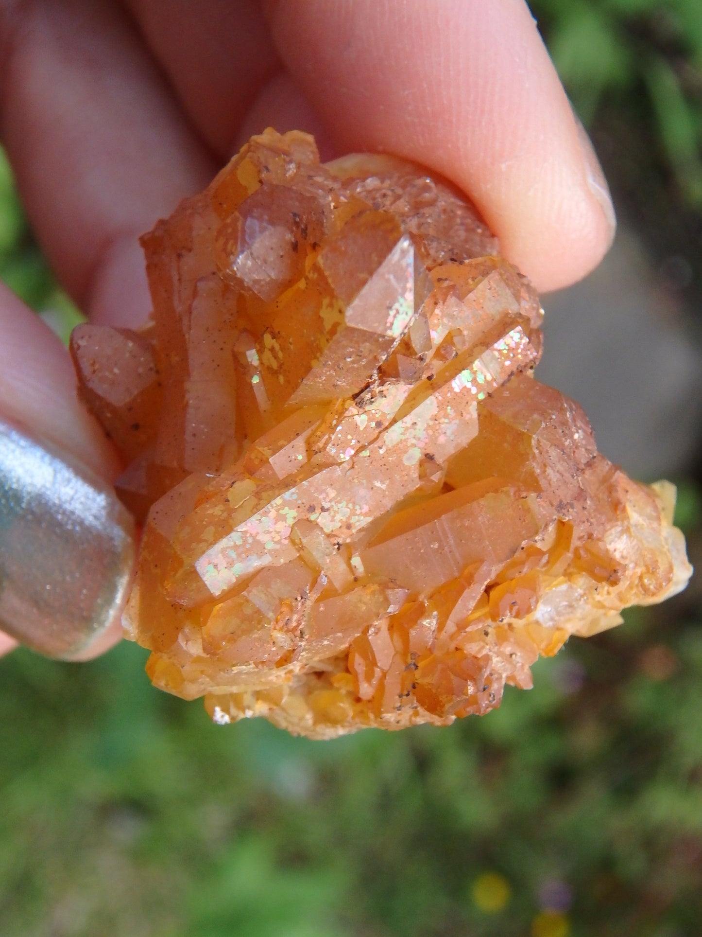 Hand Held Rainbow Mayanite Quartz Specimen - Earth Family Crystals