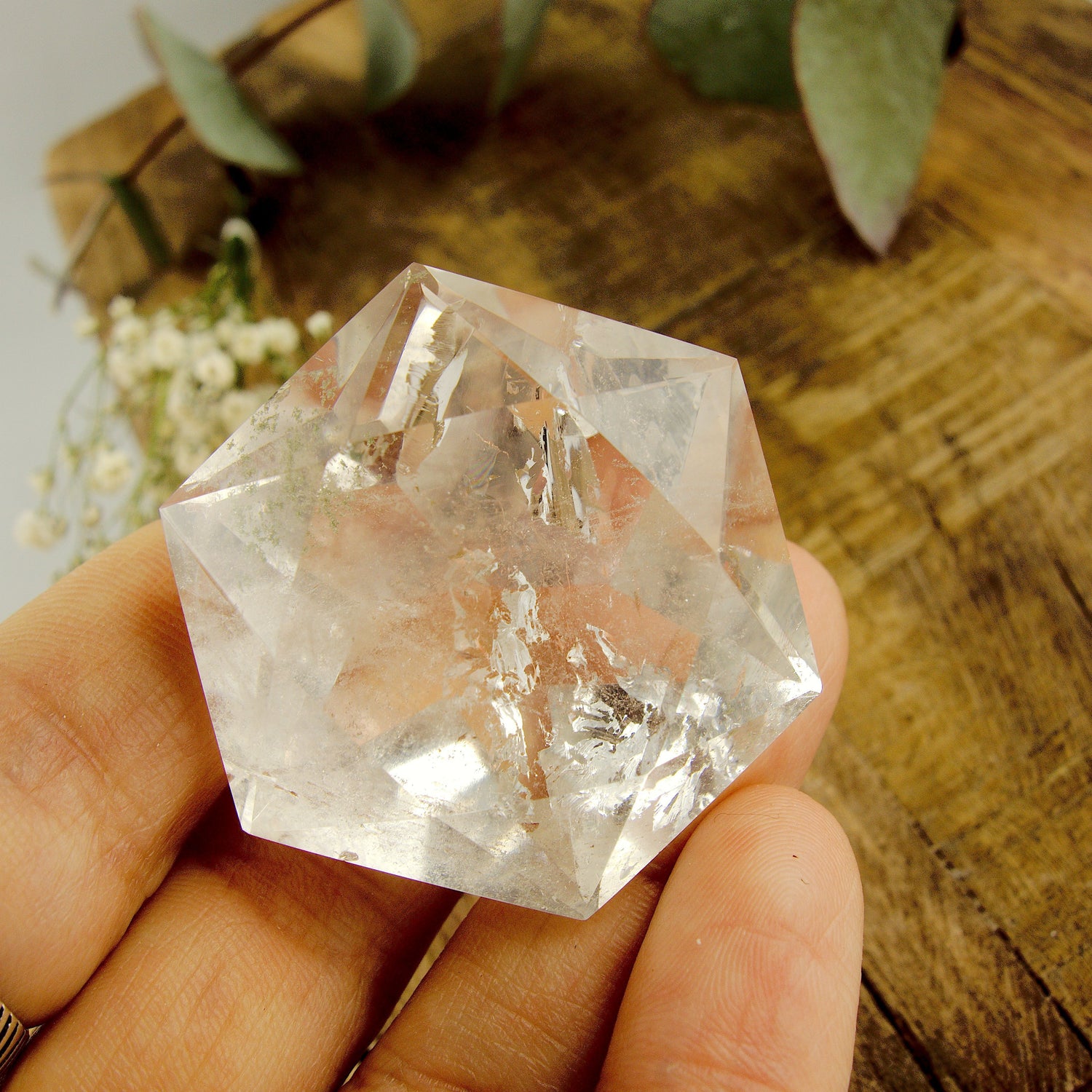 Green Chlorite Included Faceted Diamond Cut Clear Quartz Specimen - Earth Family Crystals