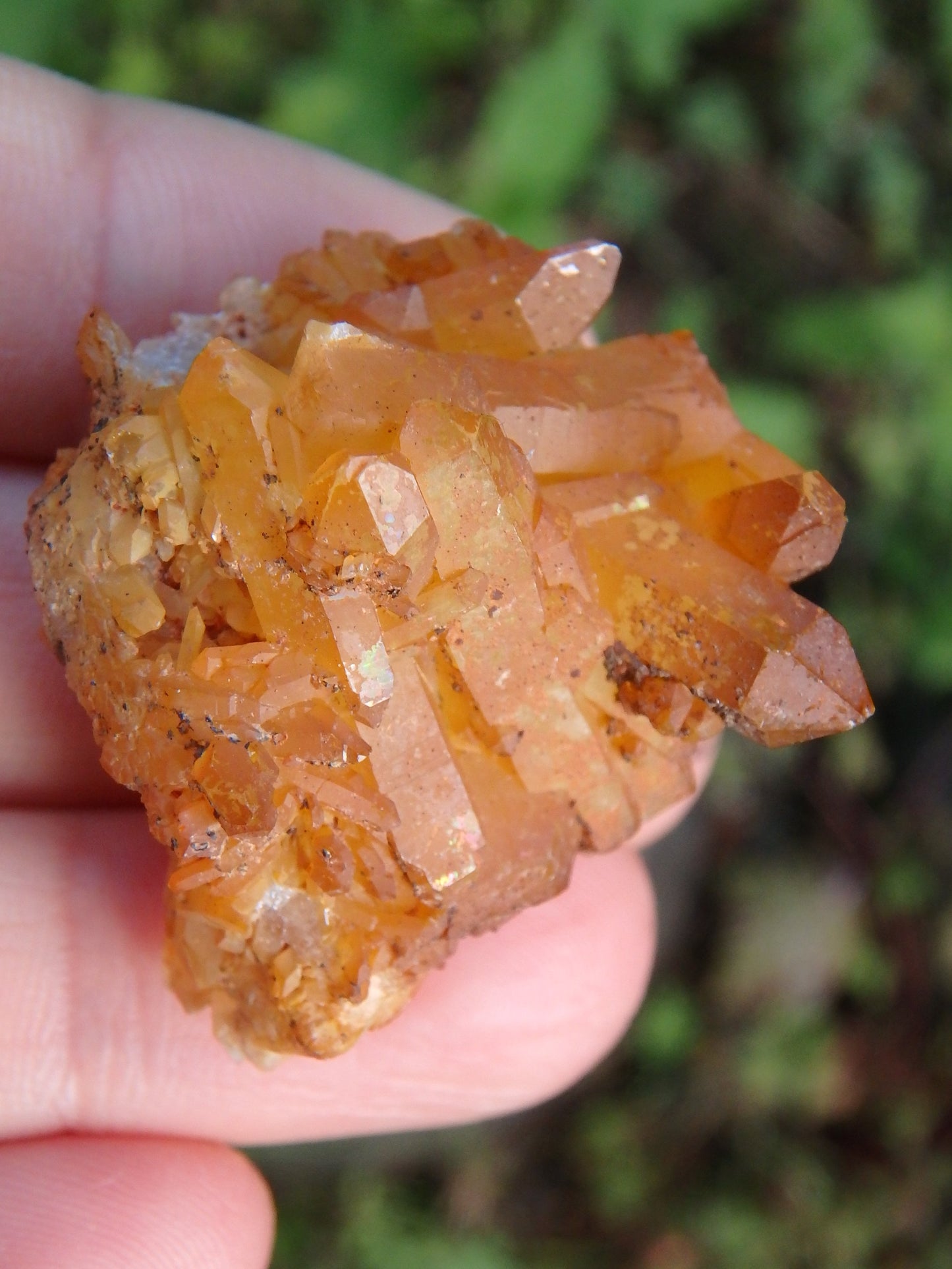 Hand Held Rainbow Mayanite Quartz Specimen - Earth Family Crystals