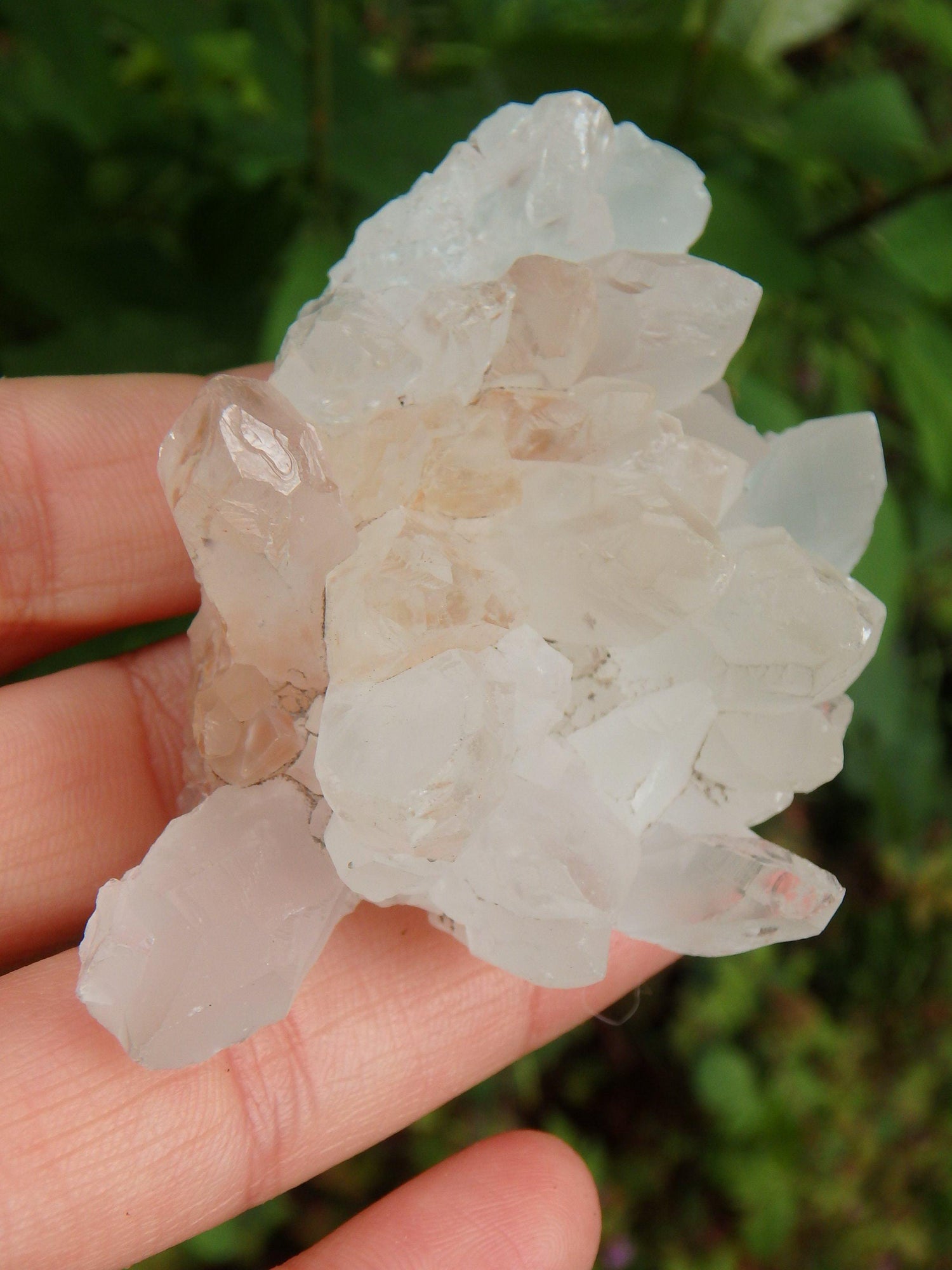 Clear Quartz Cluster From India