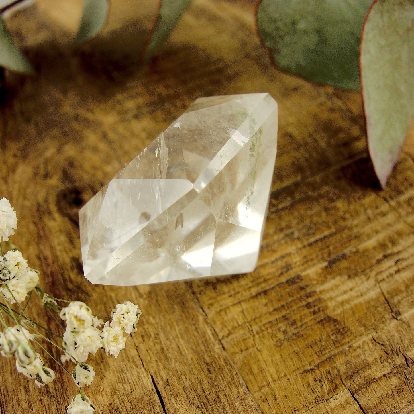 Green Chlorite Included Faceted Diamond Cut Clear Quartz Specimen - Earth Family Crystals