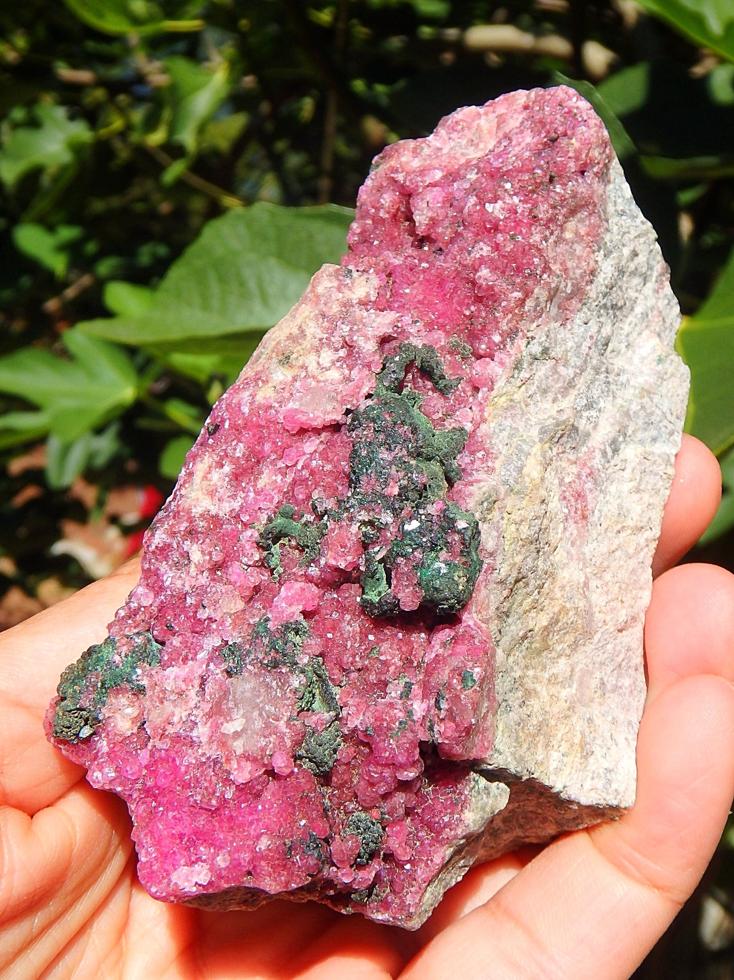Extreme Sparkle Natural Fuchsia Pink Cobaltine Calcite Specimen - Earth Family Crystals