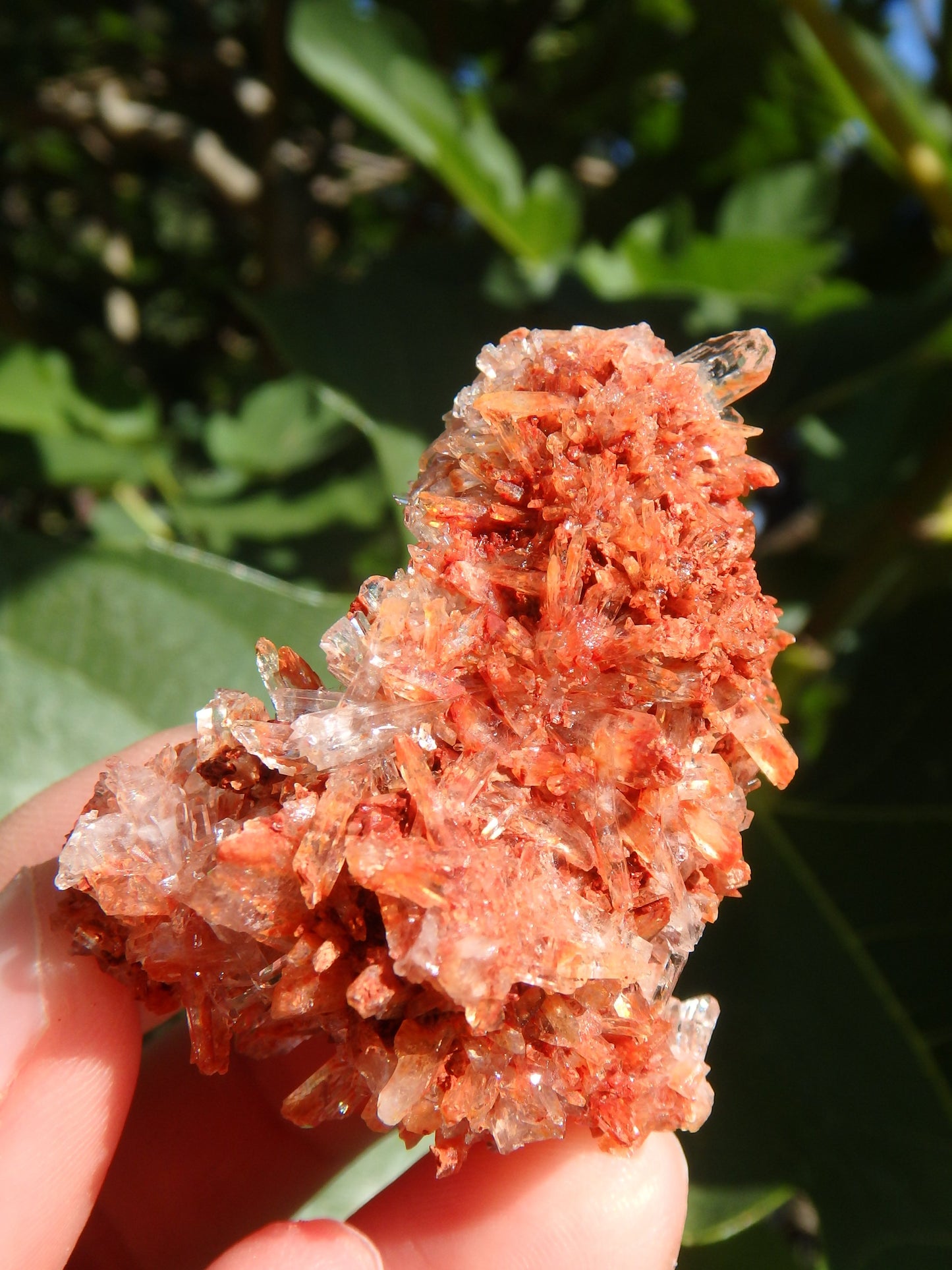 Shimmering Druzy Natural Creedite Cluster from Mexico - Metiz Tier Price