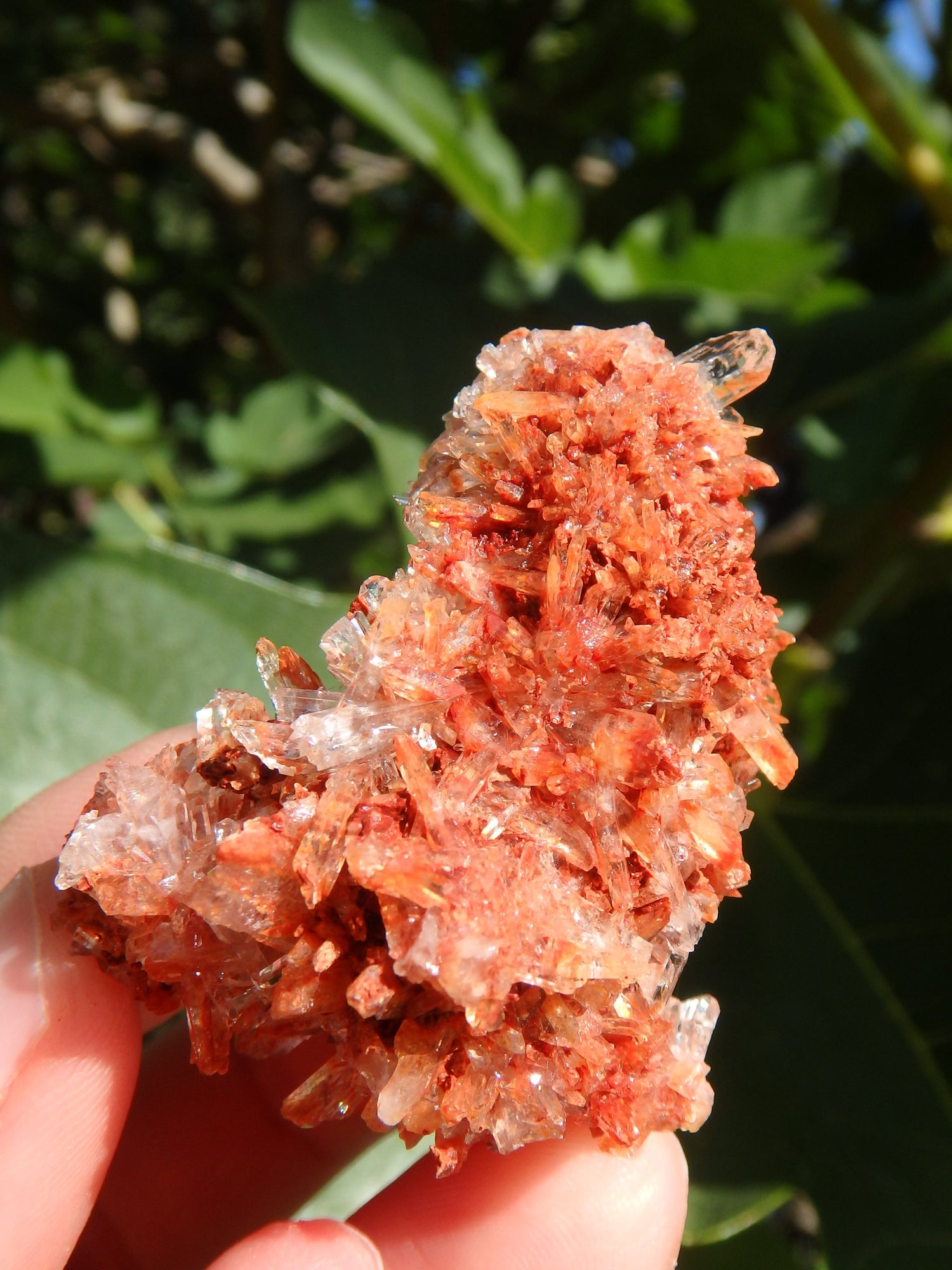 Shimmering Druzy Natural Creedite Cluster from Mexico - Metiz Tier Price