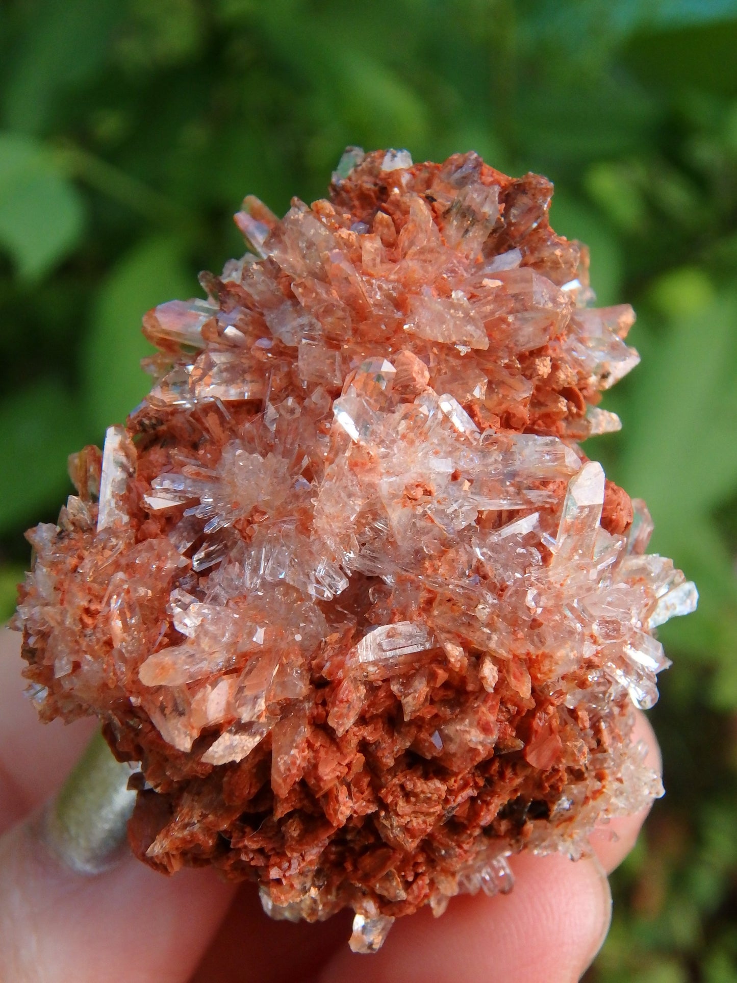 Hedgehog Druzy Spike Cluster Orange Creedite From Mexico - Earth Family Crystals