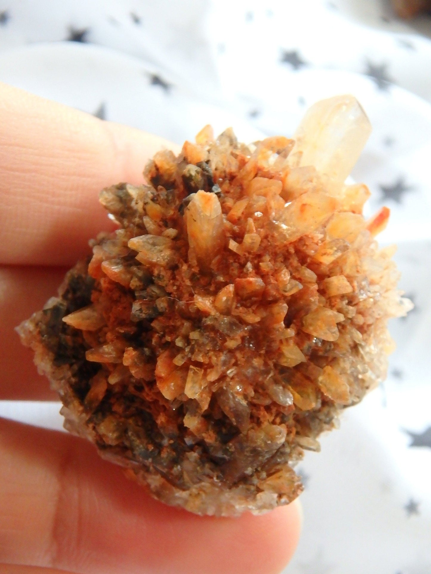  Cute Hedgehog Puffy Creedite Cluster From Mexico