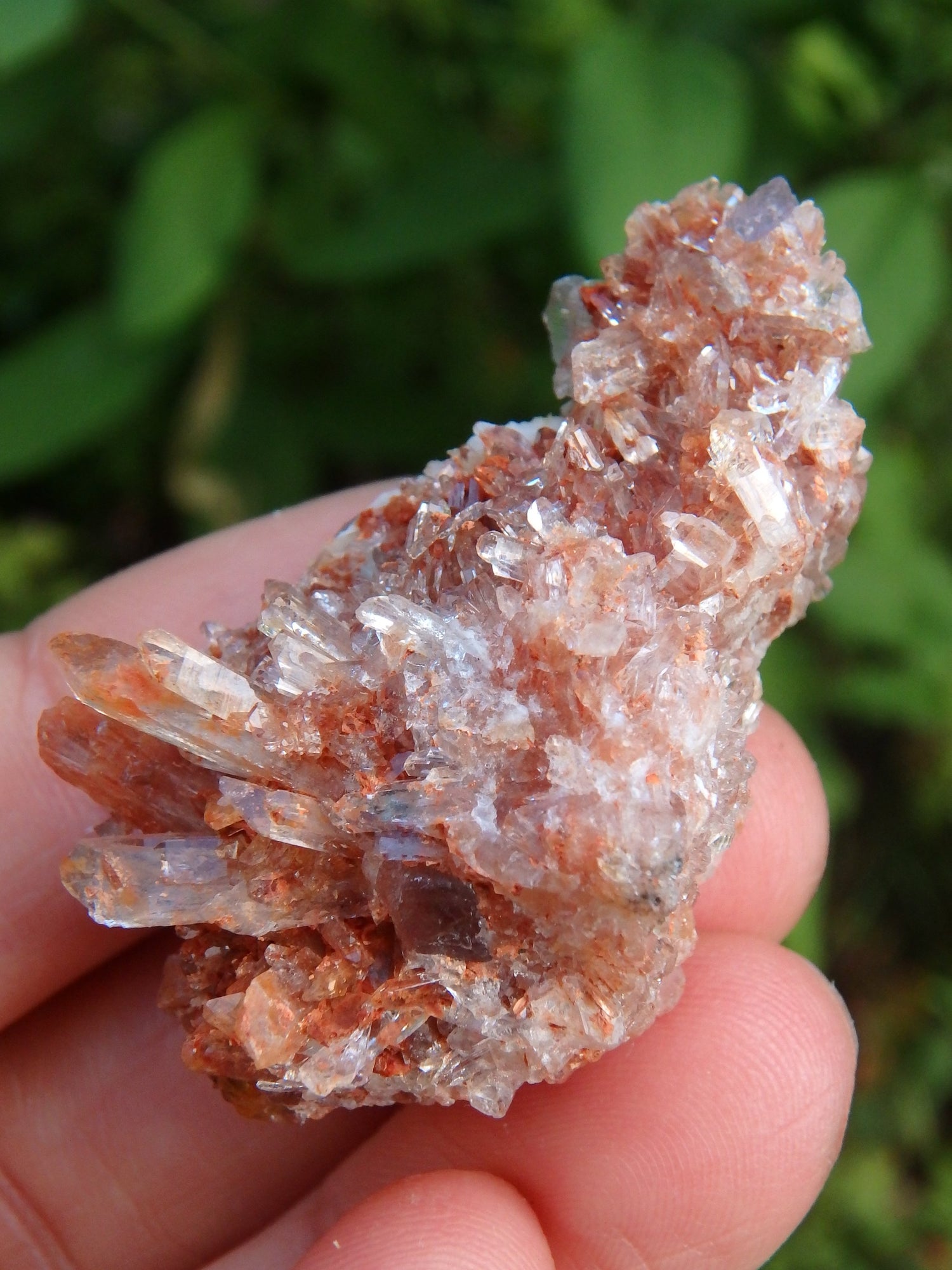 Orange Druzy Creedite & Fluorite Inclusions From Mexico - Earth Family Crystals