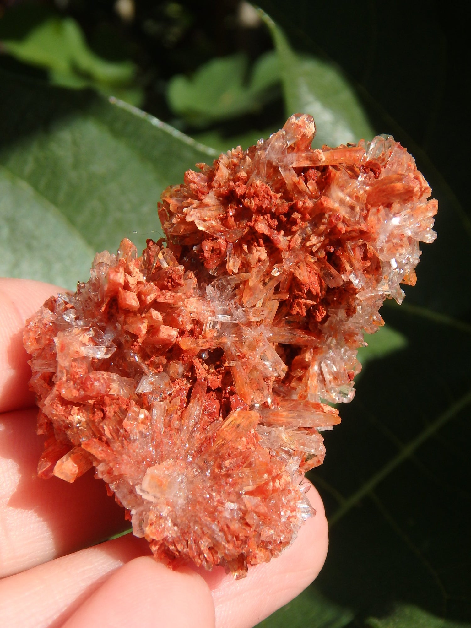 Shimmering Druzy Natural Creedite Cluster from Mexico - Metiz Tier Price