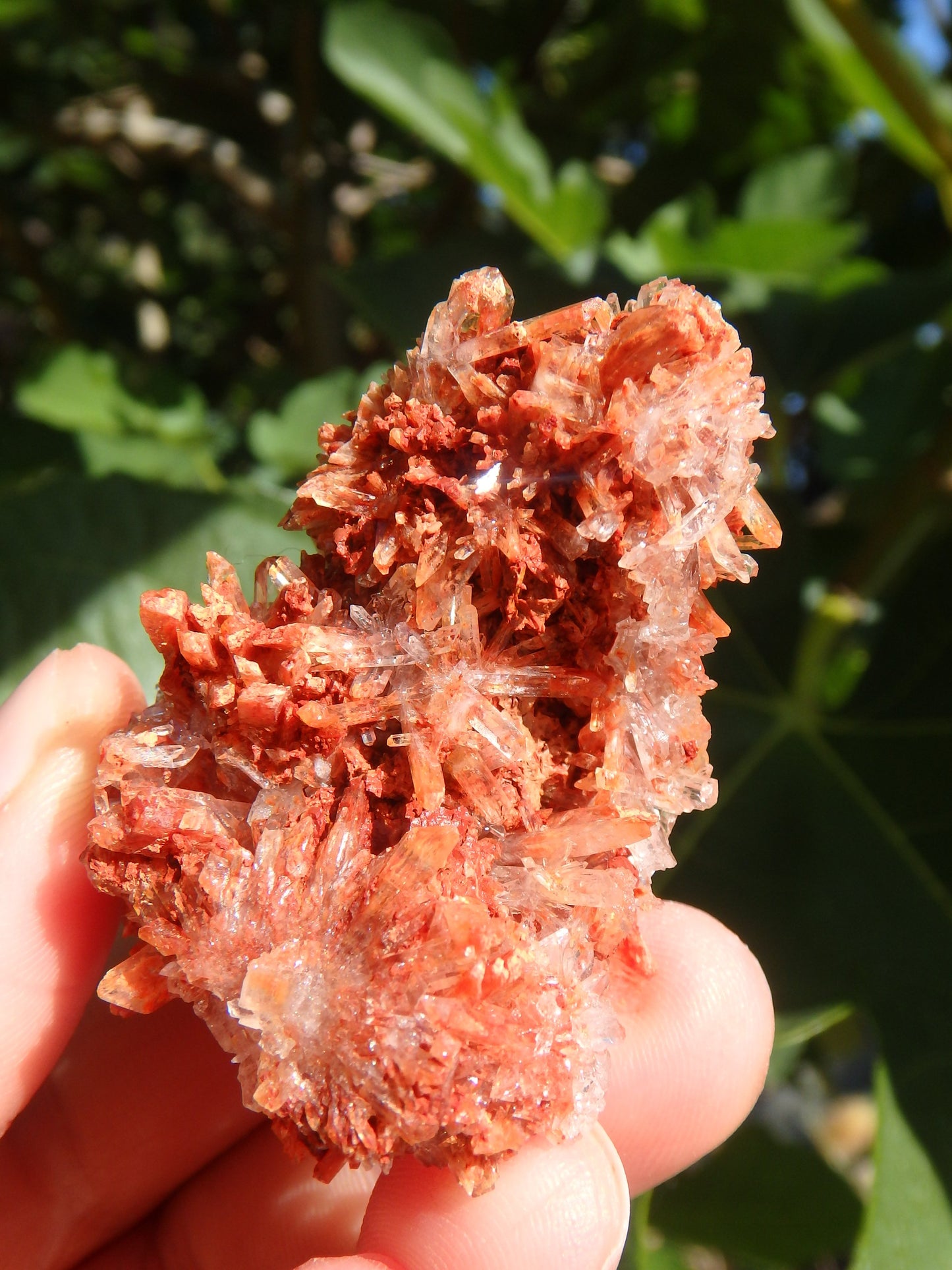 Shimmering Druzy Natural Creedite Cluster from Mexico - Metiz Tier Price