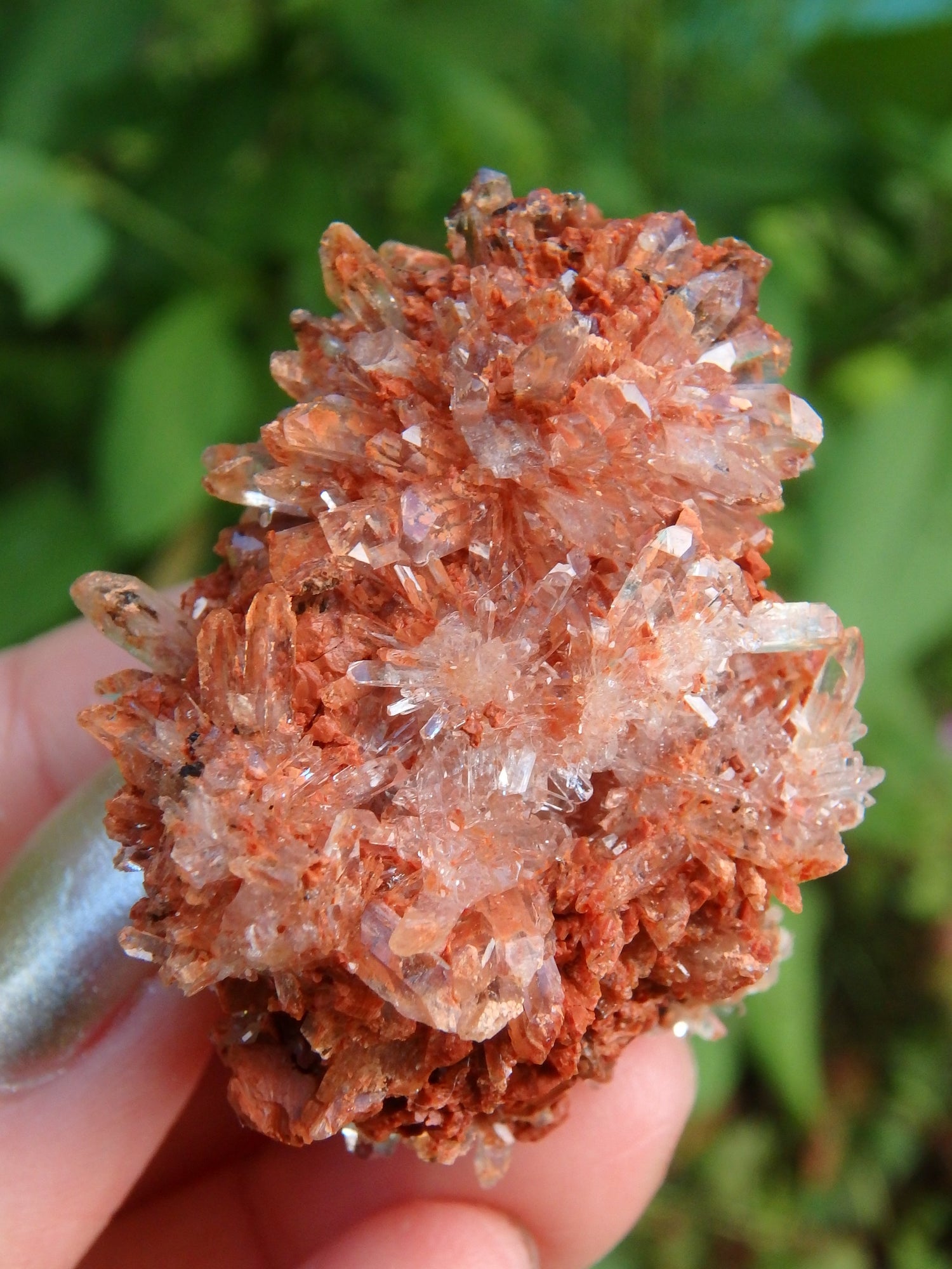 Hedgehog Druzy Spike Cluster Orange Creedite From Mexico - Earth Family Crystals
