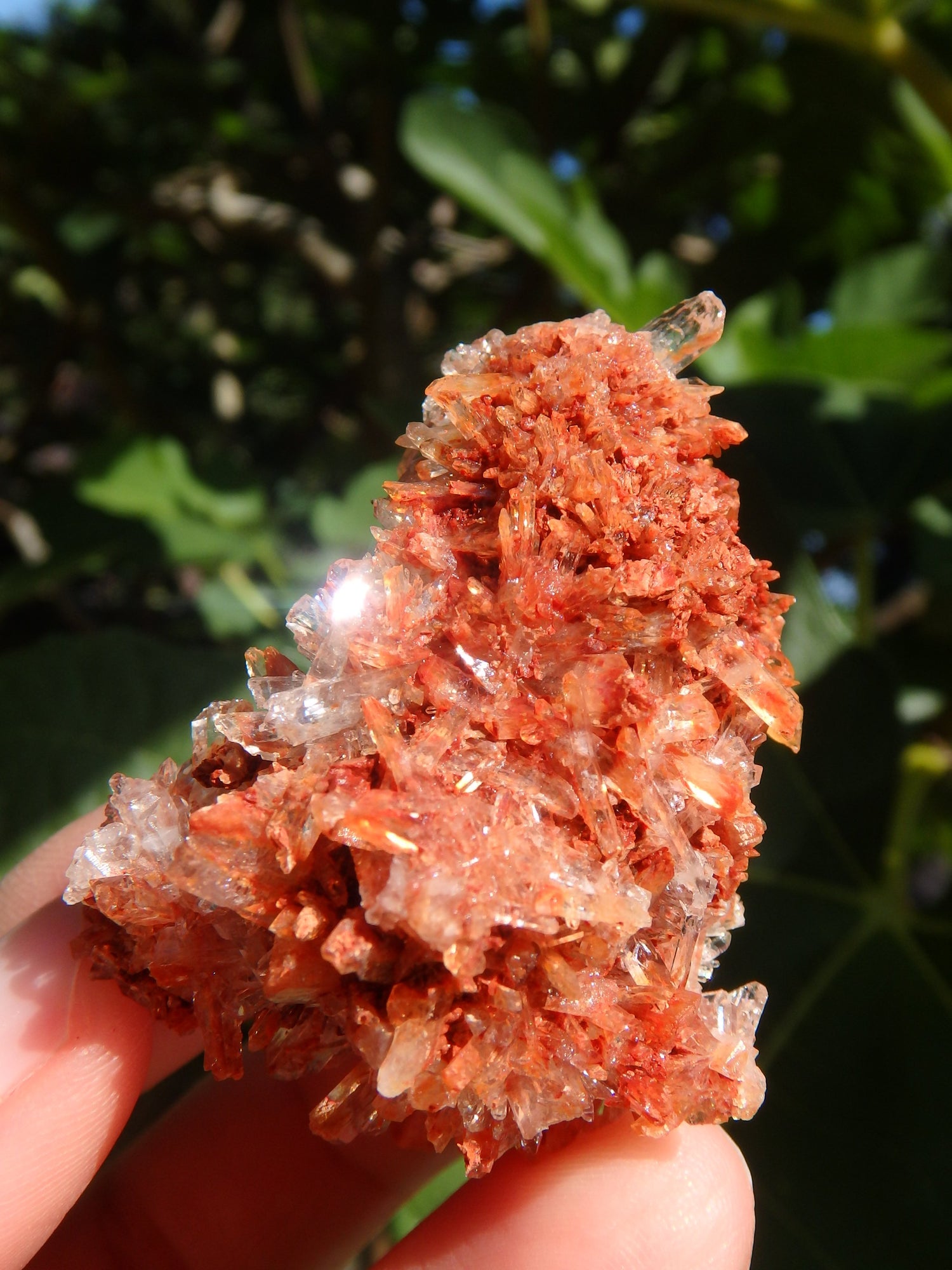 Shimmering Druzy Natural Creedite Cluster from Mexico - Metiz Tier Price