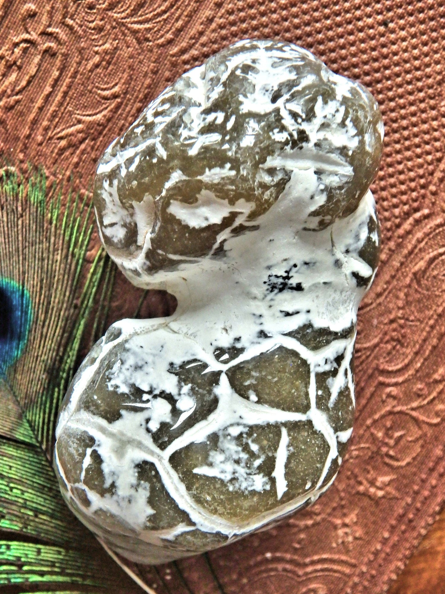  Double Agate Nodule Free Form  Alligator  Agate Specimen