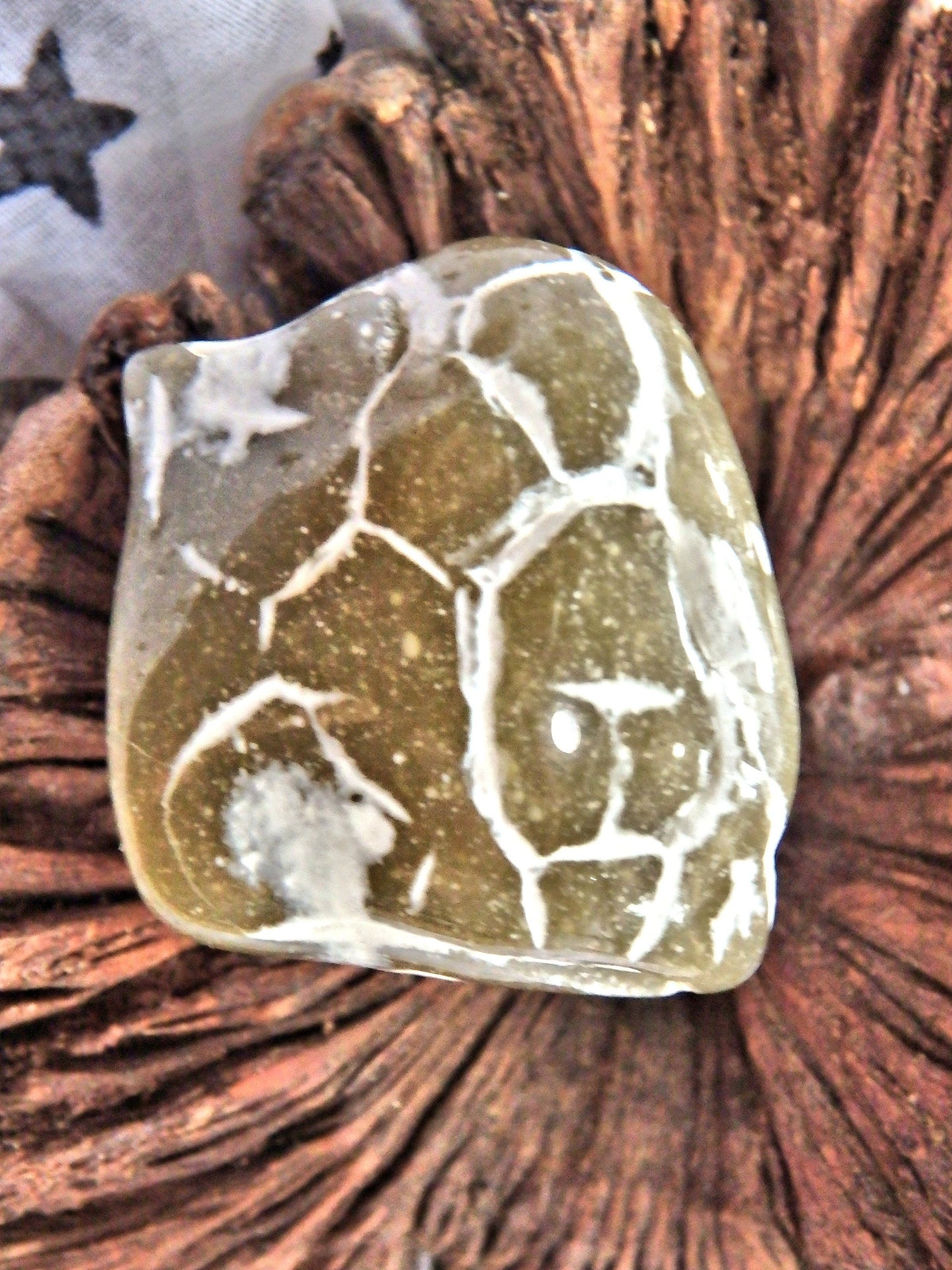  Cute  Alligator  Agate Nodule Specimen