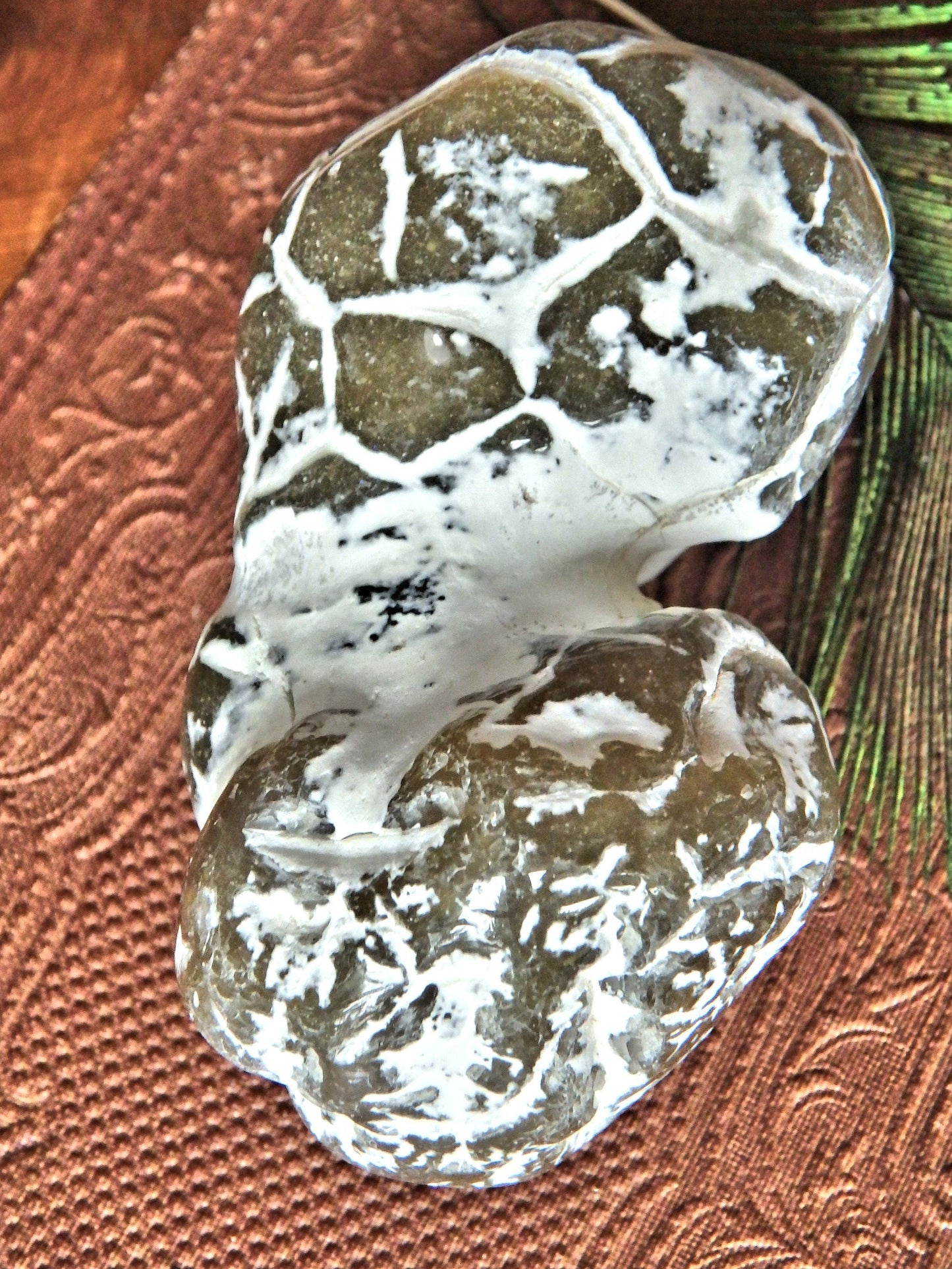  Double Agate Nodule Free Form  Alligator  Agate Specimen