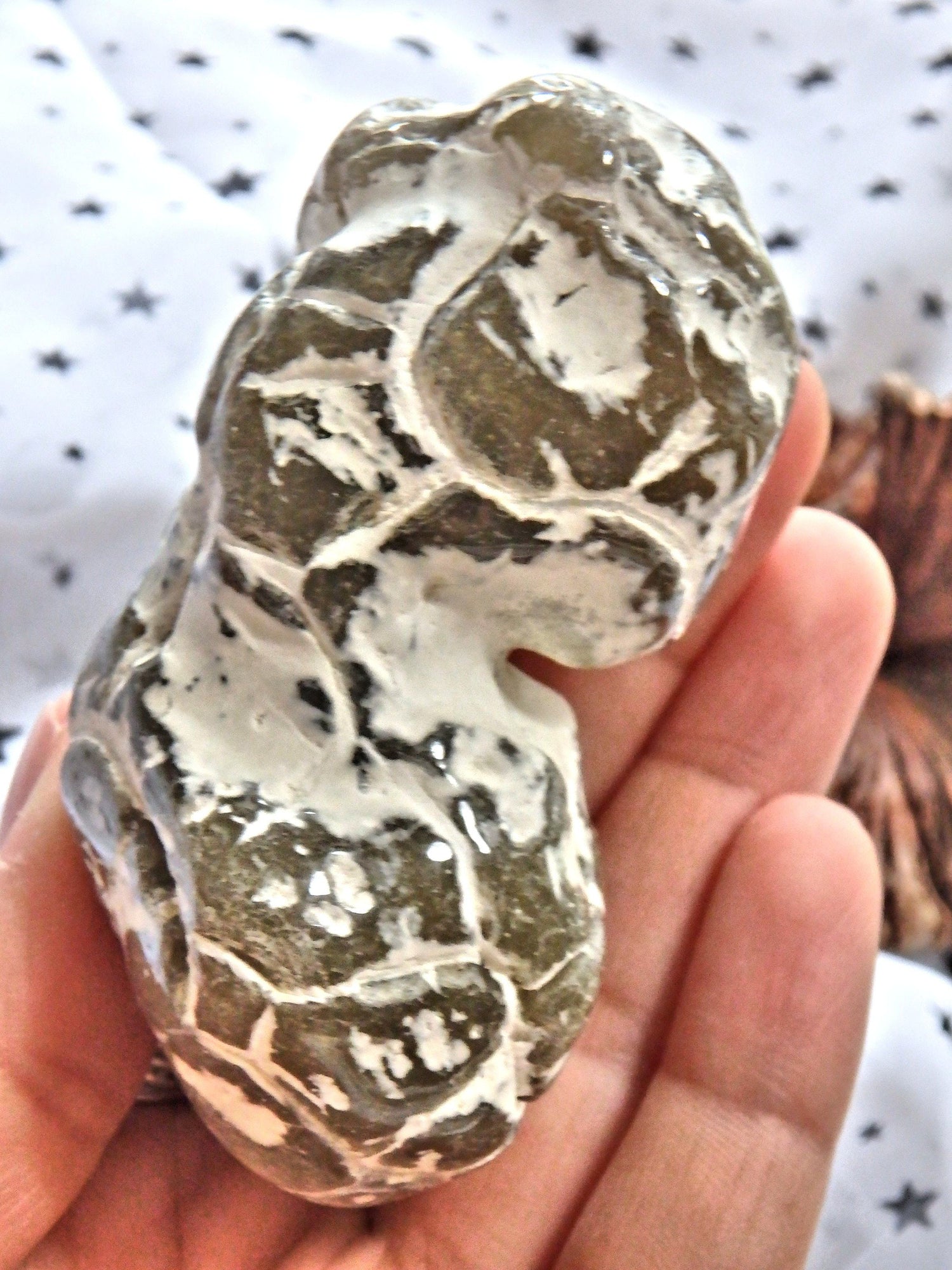  Double Agate Nodule Free Form  Alligator  Agate Specimen