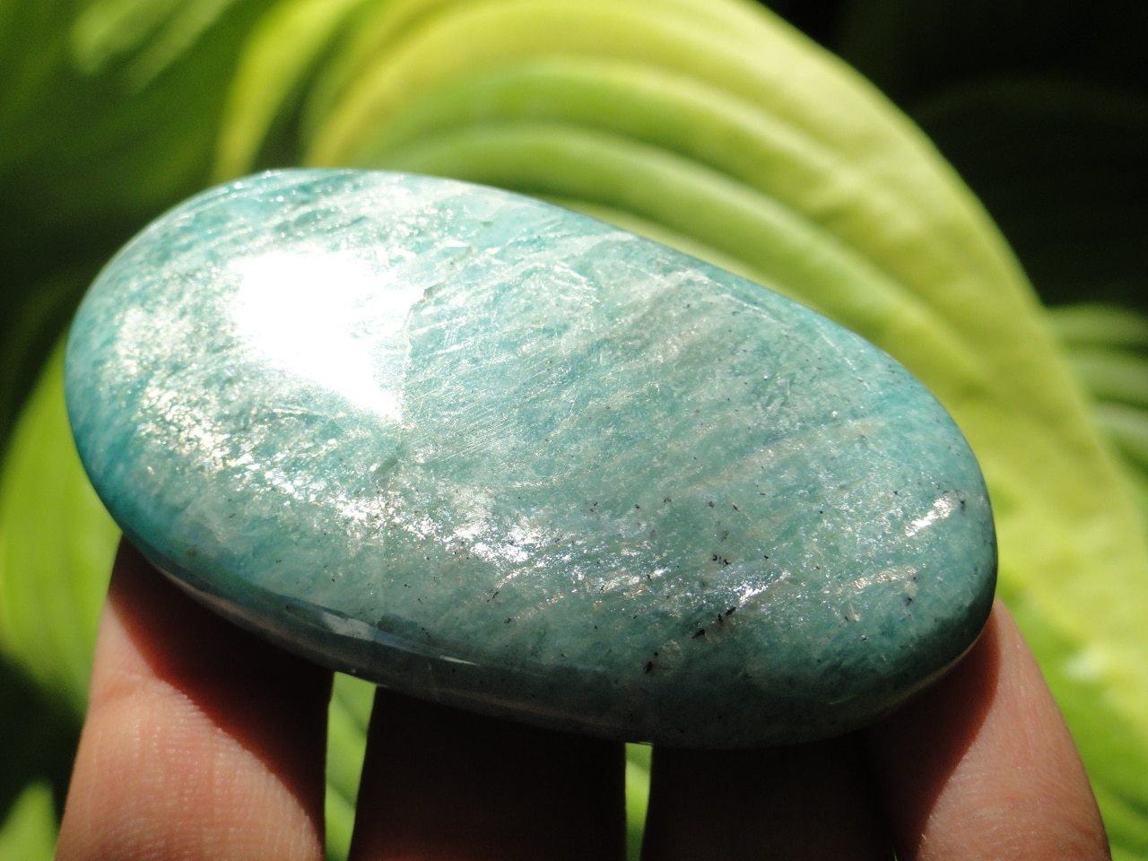  AMAZONITE PALM STONE~ Stone of Harmony, Communication, Manifestation*