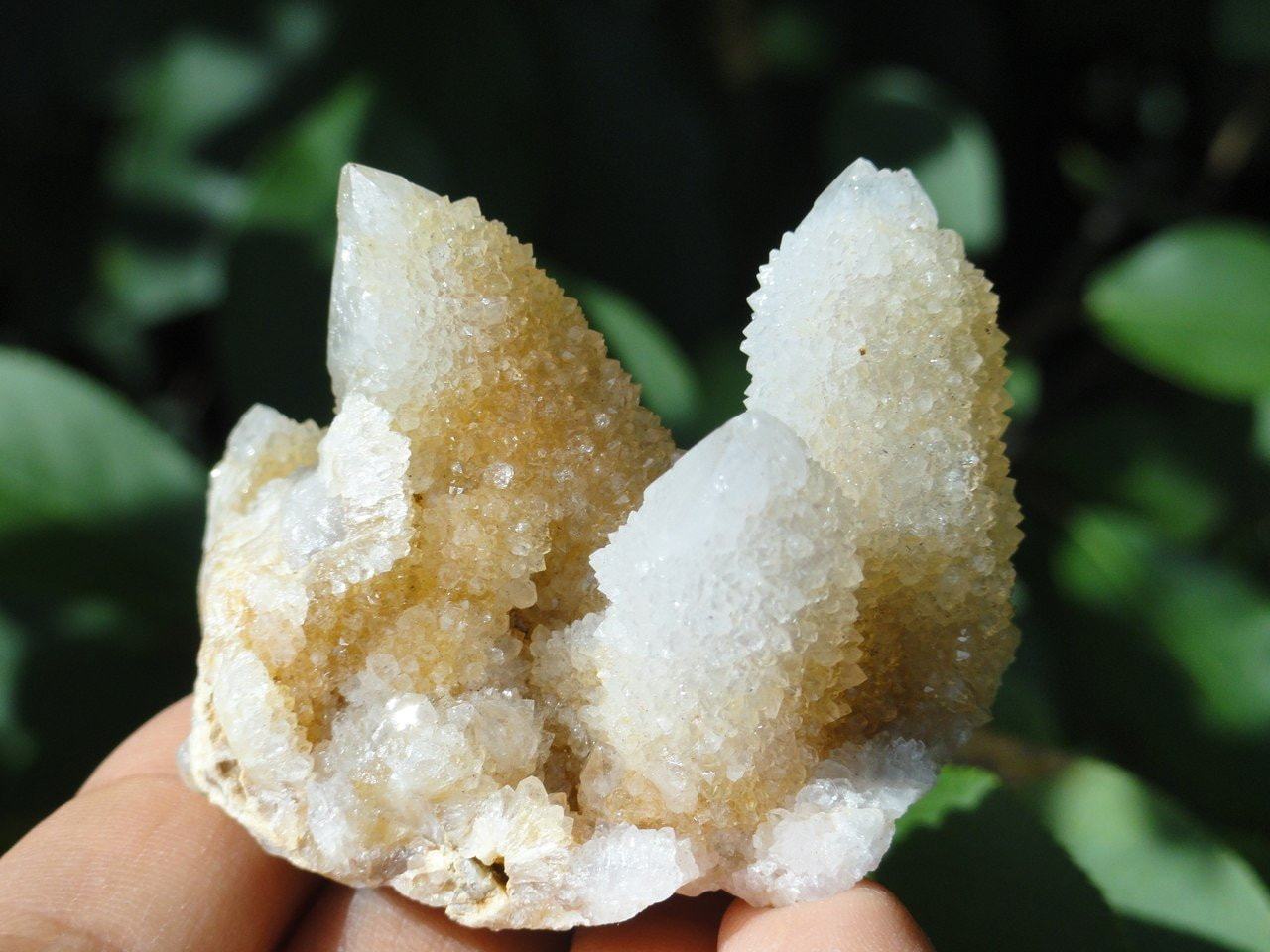 CITRINE SPIRIT QUARTZ CLUSTER~ Stone of Empowerment*