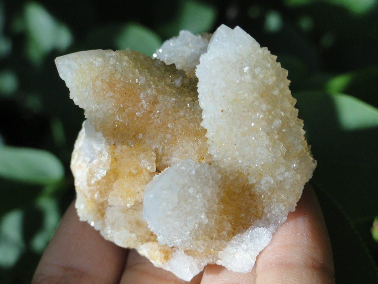  CITRINE SPIRIT QUARTZ CLUSTER~ Stone of Empowerment*