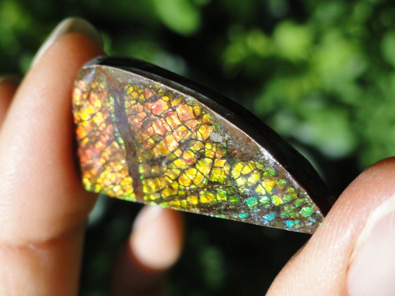  AMMOLITE CABOCHON - PERFECT TO WIRE WRAP