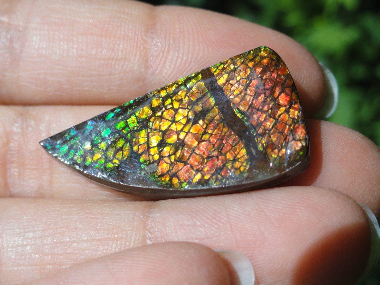  AMMOLITE CABOCHON - PERFECT TO WIRE WRAP
