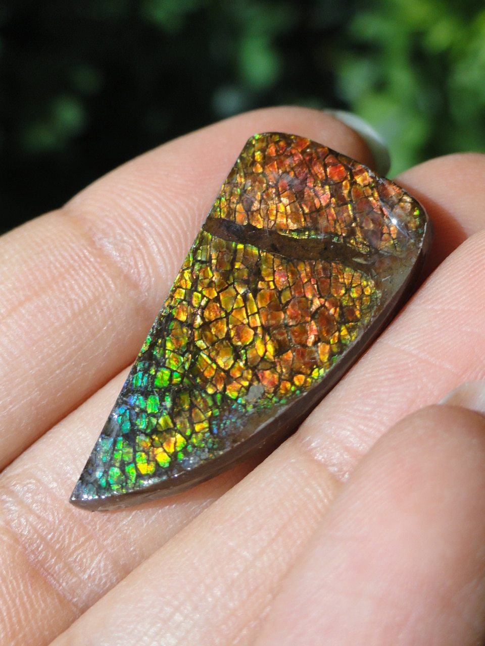  AMMOLITE CABOCHON - PERFECT TO WIRE WRAP