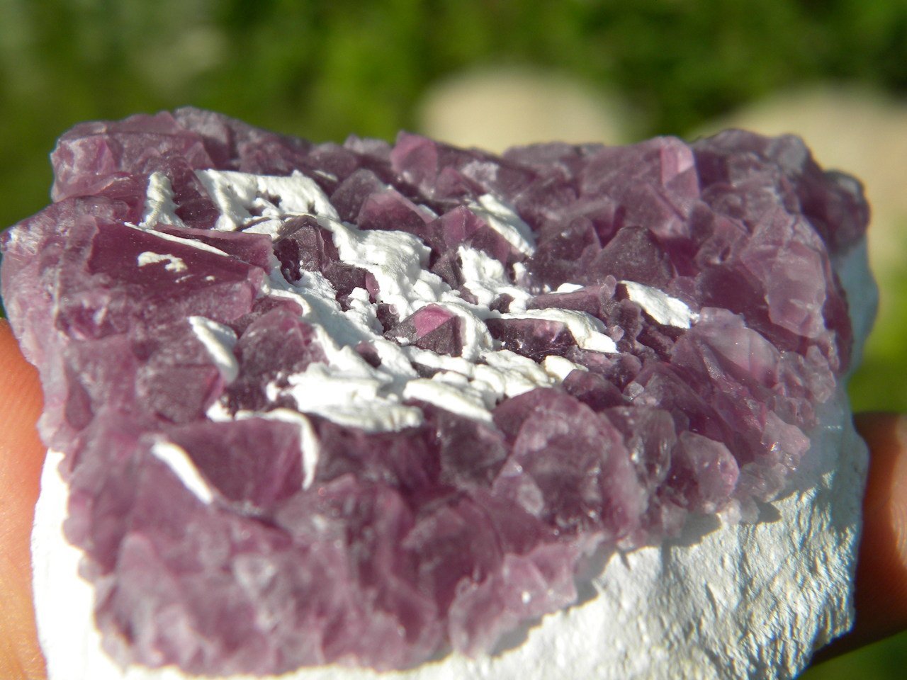 MAGENTA FLUORITE SPECIMEN~ stone of Inner Truth, Mental Clarity* - Earth Family Crystals