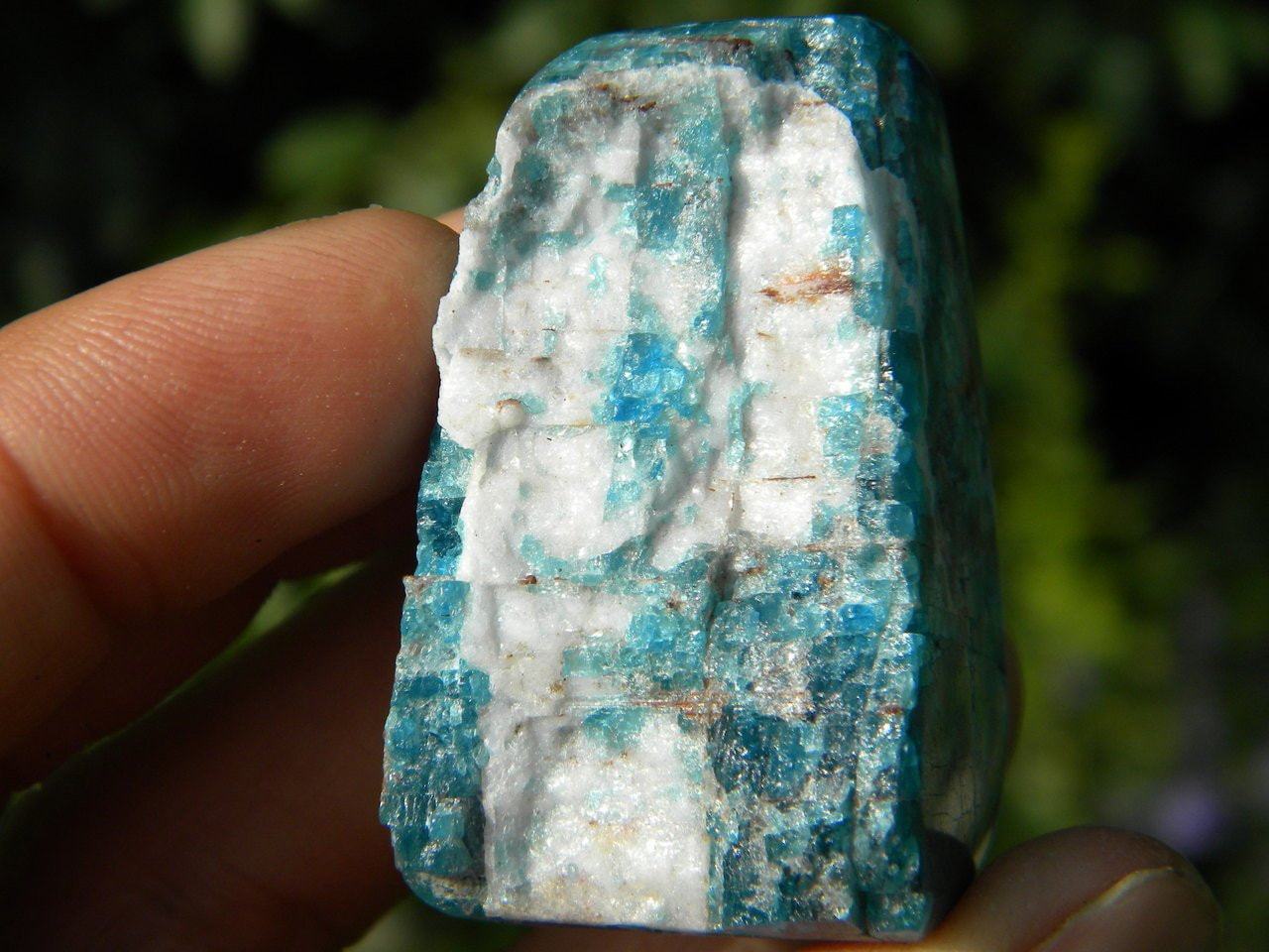  BLUE APATITE Self Standing Crystal~ Stone of Psychic Activation, Access to Knowledge*