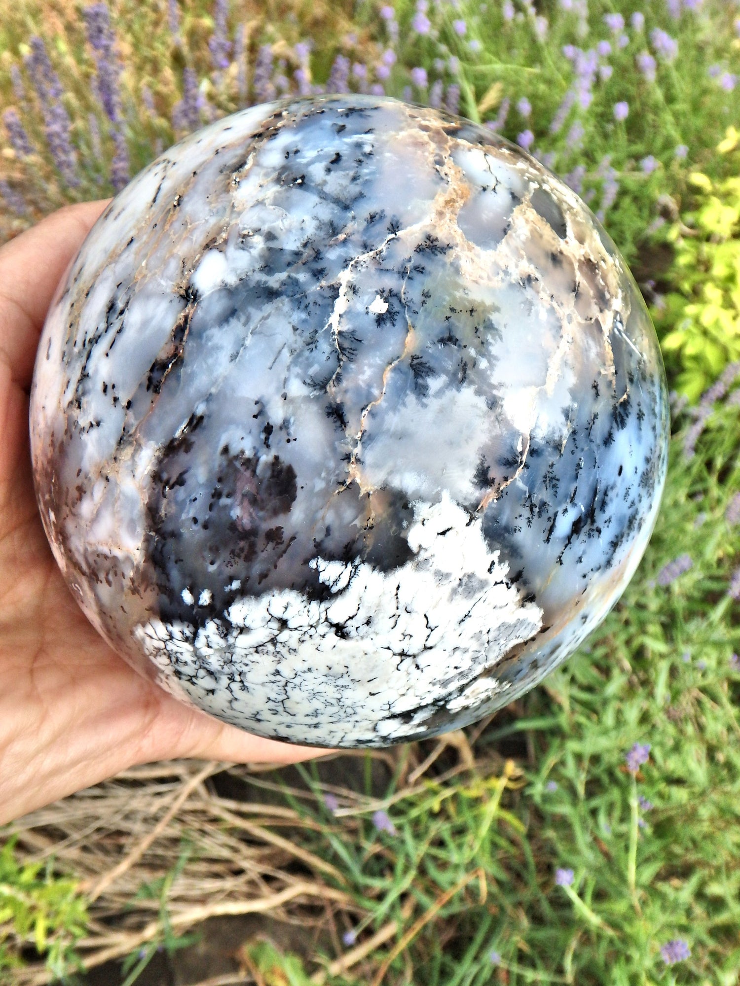 Jumbo 4 LB Earth Sphere~Dendritic Agate Display  Carving - Metiz Tier Price