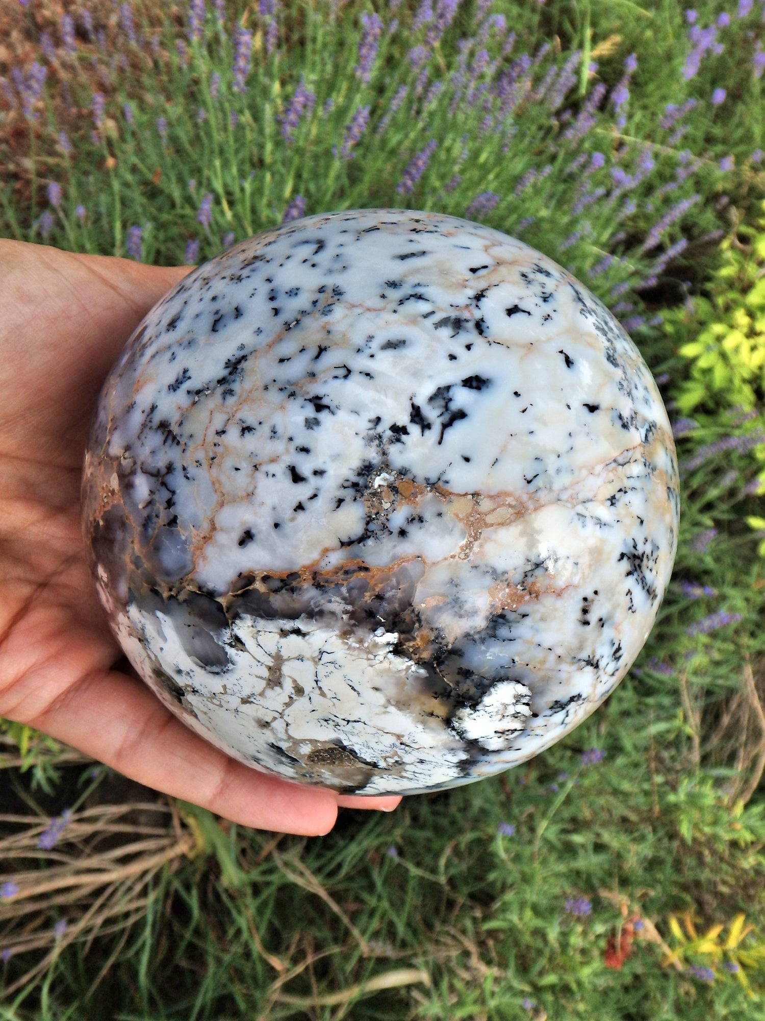 Jumbo 4 LB Earth Sphere~Dendritic Agate Display  Carving - Metiz Tier Price