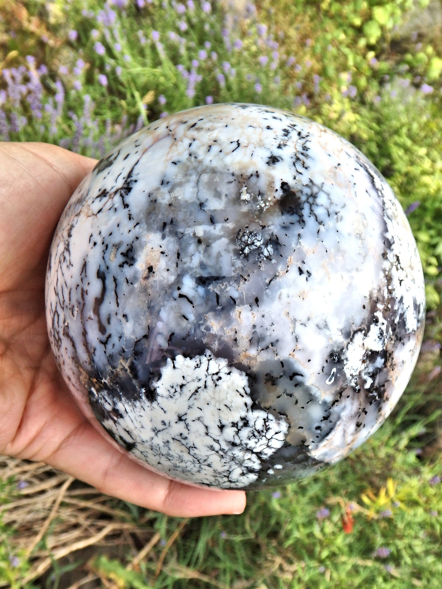 Jumbo 4 LB Earth Sphere~Dendritic Agate Display  Carving - Metiz Tier Price