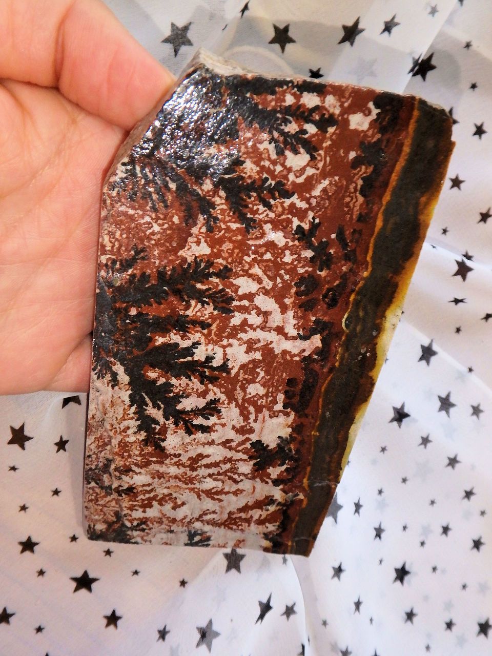 Landscape Dendritic Patterns Standing Specimen - Earth Family Crystals