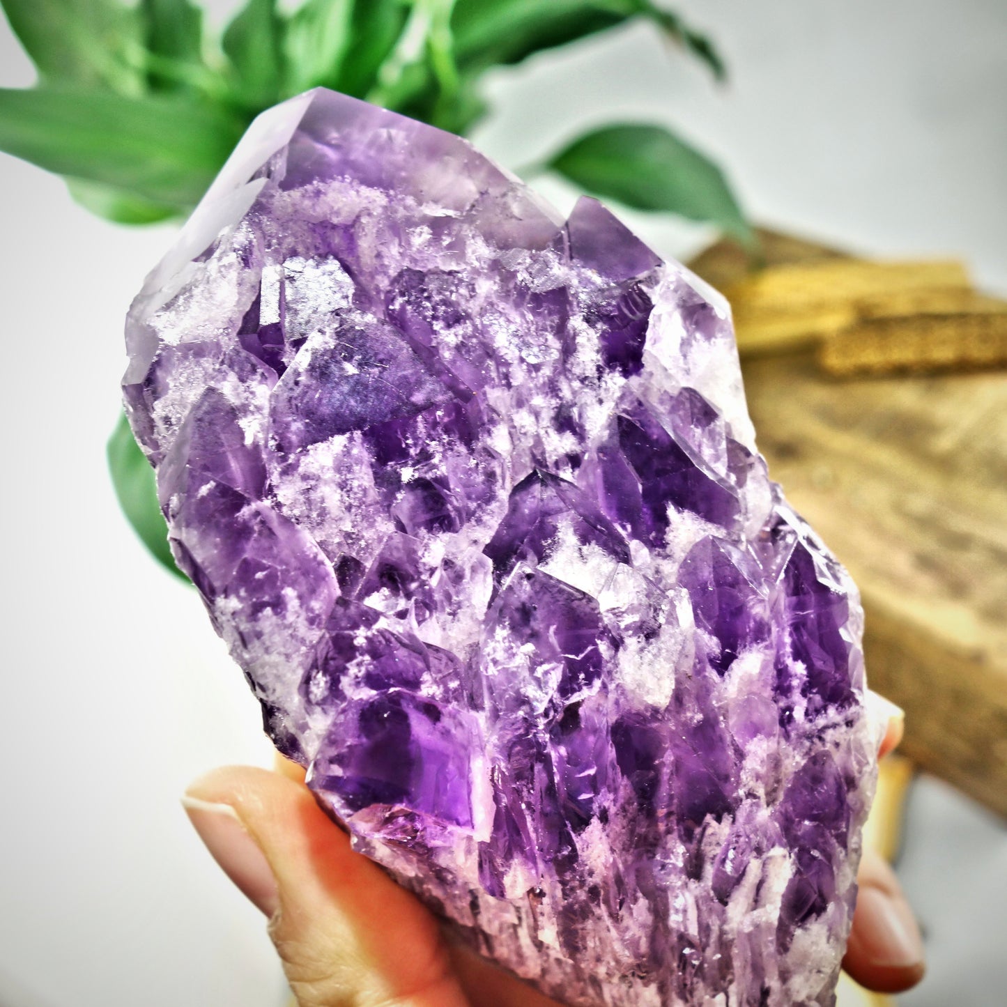 Incredible XL Elestial  Phantom Amethyst Point Specimen From Bahia, Brazil