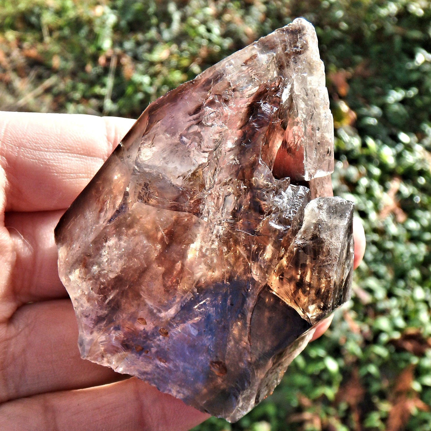  Deep Caves & Self Healing  Elestial Smoky Quartz From Brazil