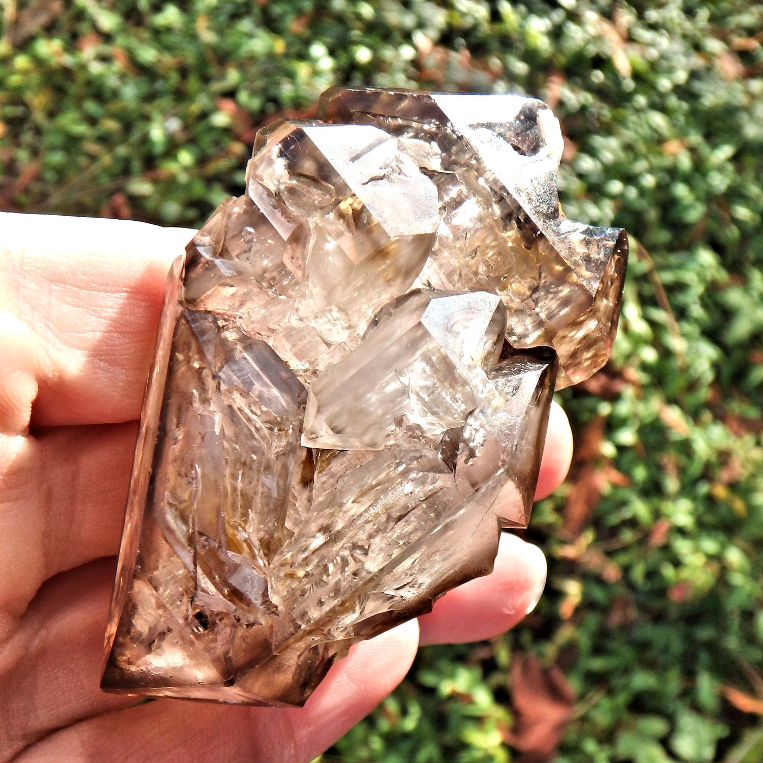 HIgh Vibration Double Terminated  Elestial Smoky Quartz From Brazil With Self Healing - Earth Family Crystals