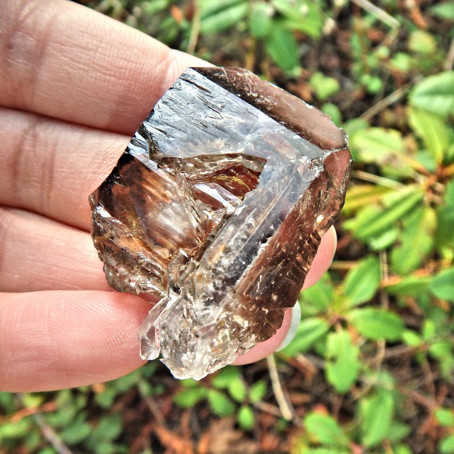  Cute Hand Held  Elestial Smoky  Quartz From Brazil