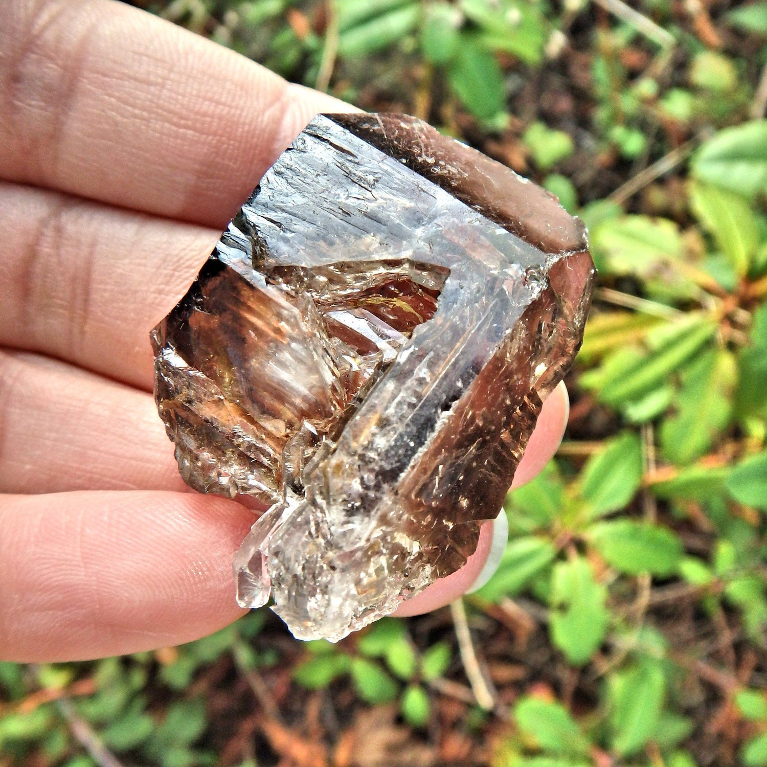 Cute Hand Held  Elestial Smoky  Quartz From Brazil