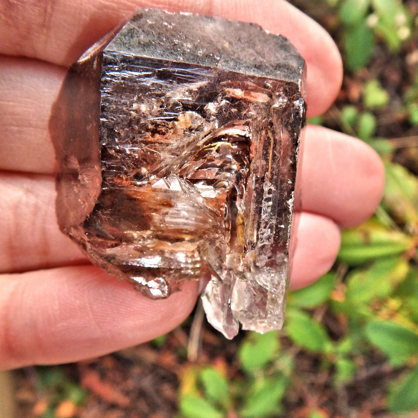  Cute Hand Held  Elestial Smoky  Quartz From Brazil