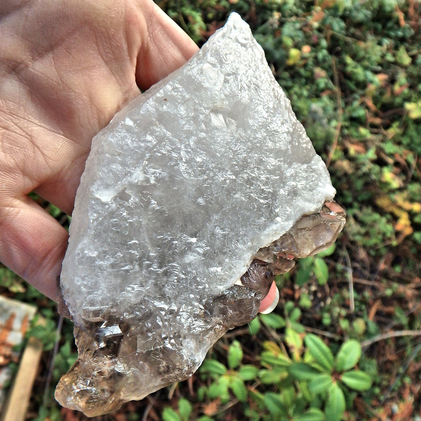 Incredible Chunky  Clear & Elestial Smoky Quartz From Brazil With Self Healing