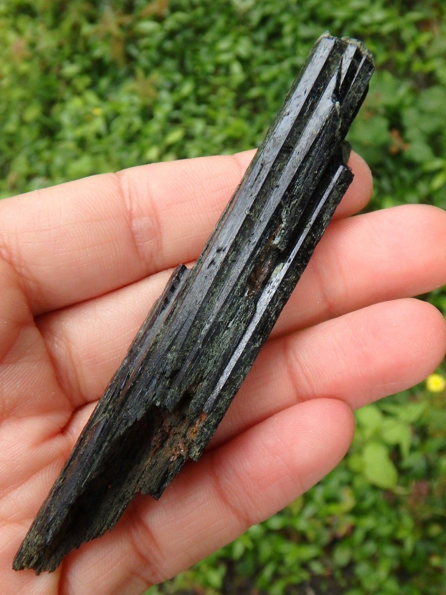  Deep Forest Green Epidote Point Natural Specimen