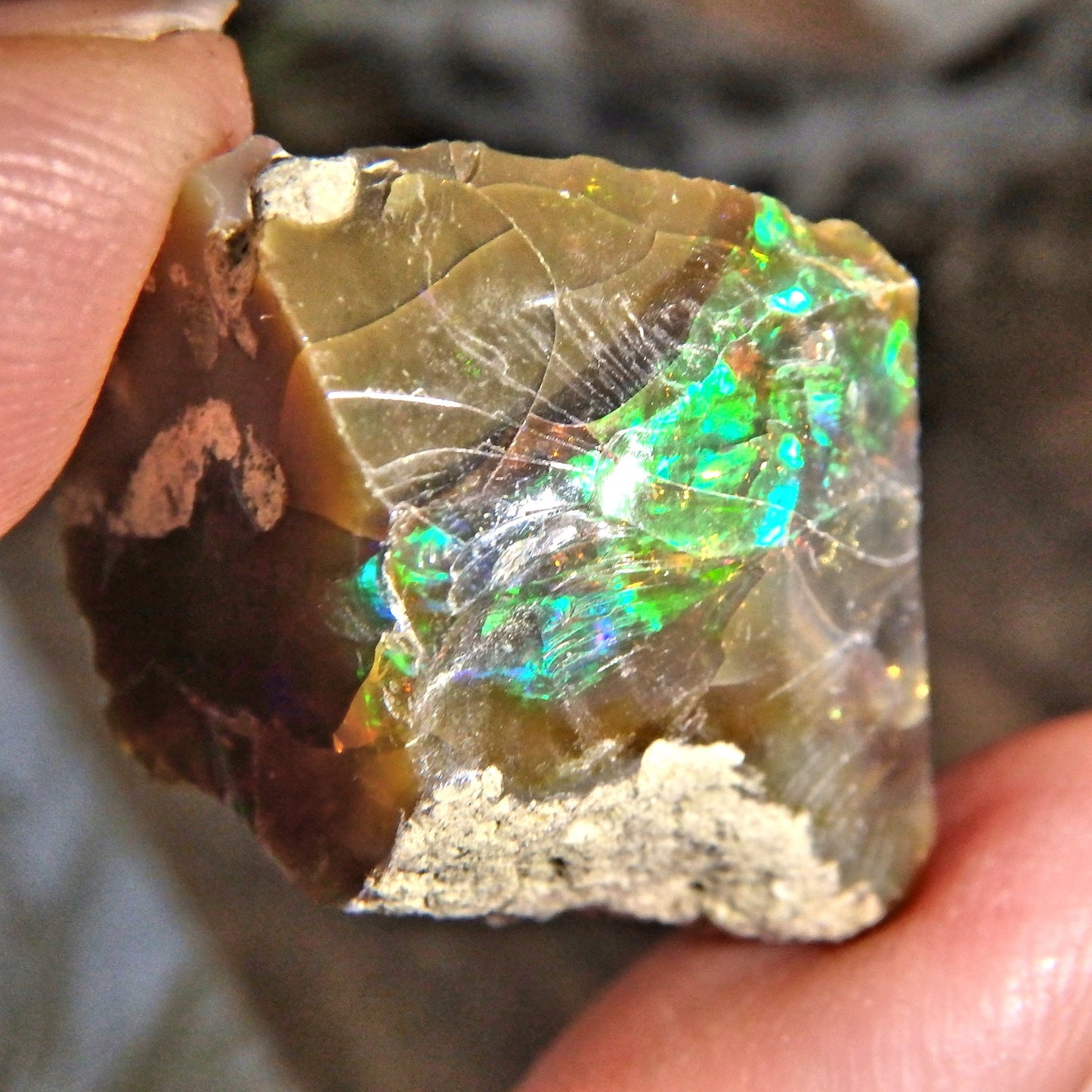Incredible Rainbow Sparkle Flash Chocolate Brown Ethiopian Opal Raw Specimen