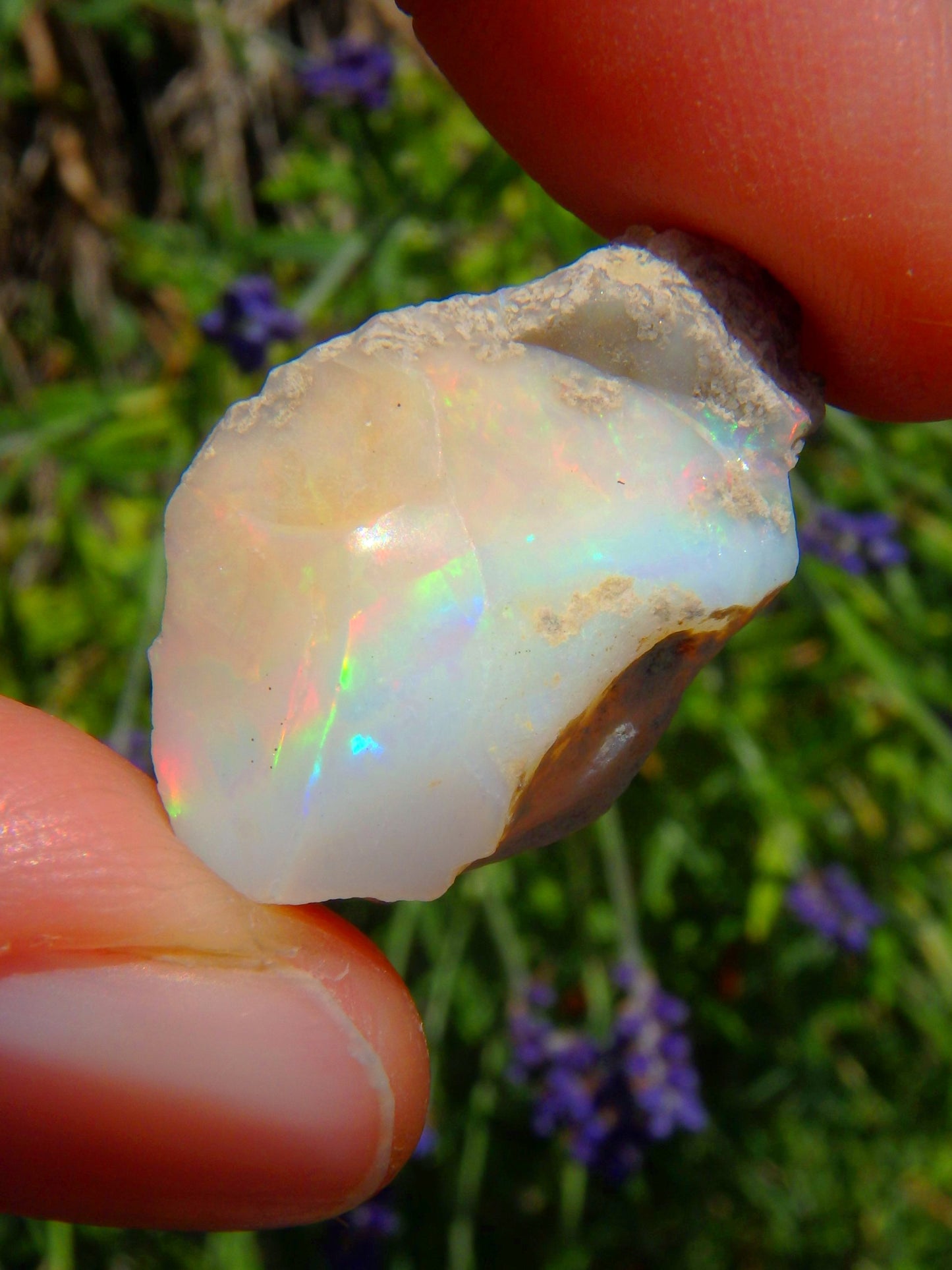 Rainbow Flashes Ethiopian Opal Raw Collectors Stone - Metiz Tier Price