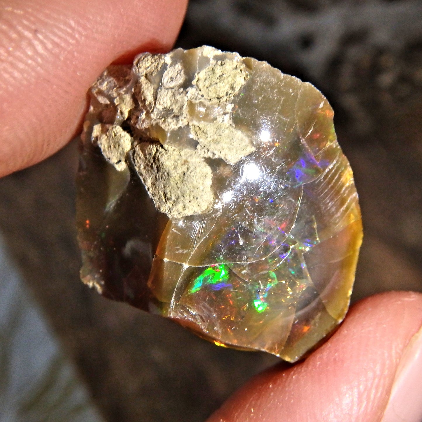 Incredible Rainbow Sparkle Flash Chocolate Brown Ethiopian Opal Raw Specimen