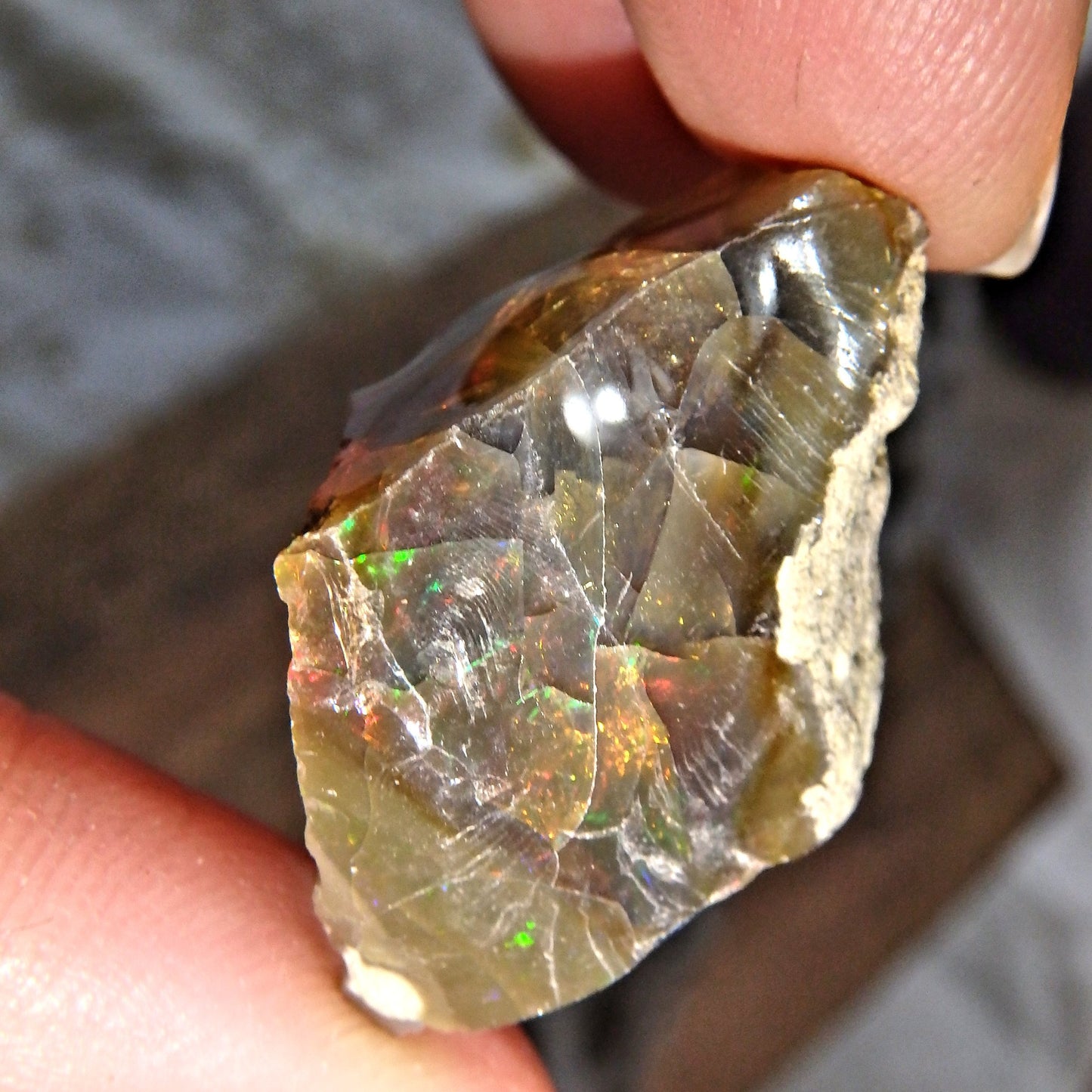 Incredible Rainbow Sparkle Flash Chocolate Brown Ethiopian Opal Raw Specimen