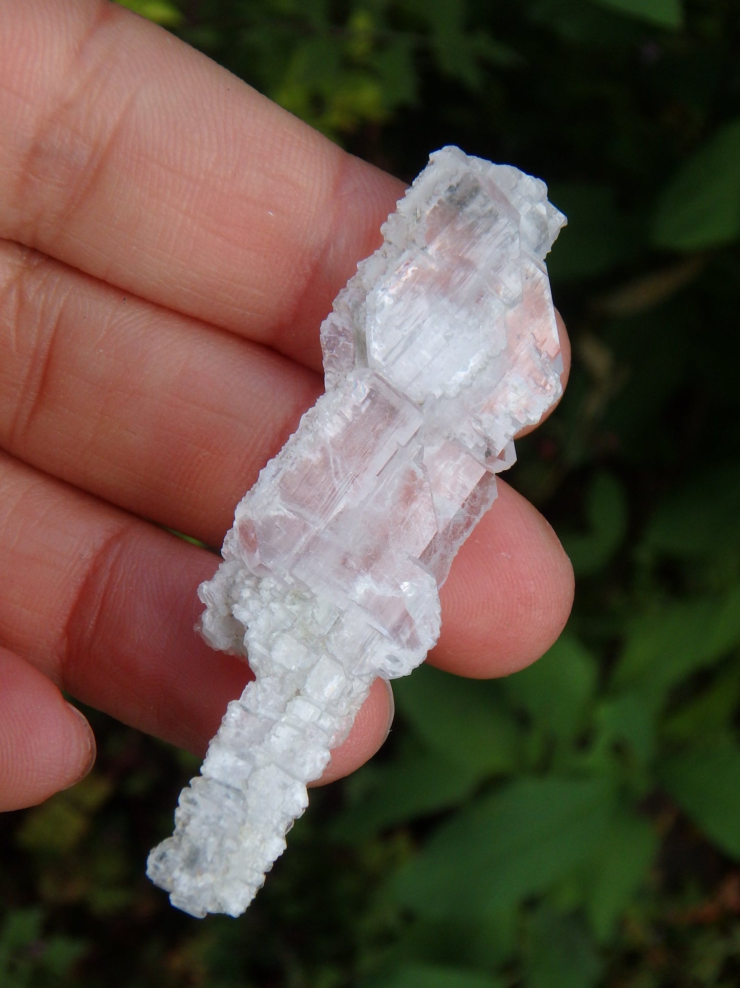 Healing Natural Faden Quartz Specimen 2 - Earth Family Crystals