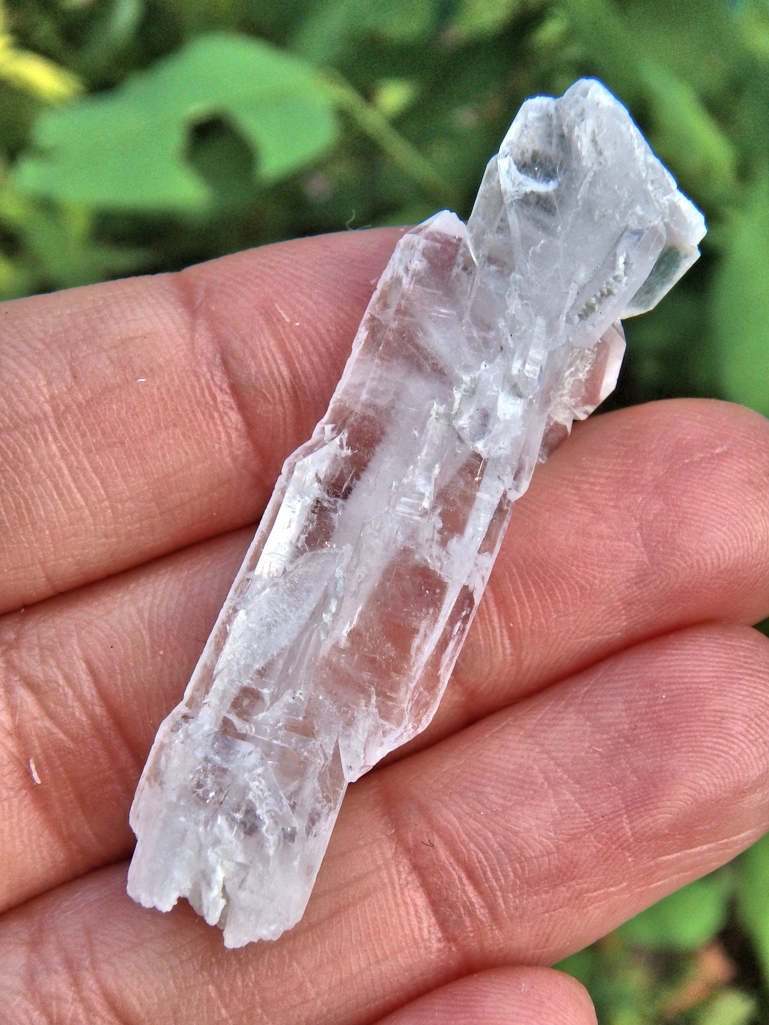 Healing Natural Faden Quartz Specimen 3 - Earth Family Crystals