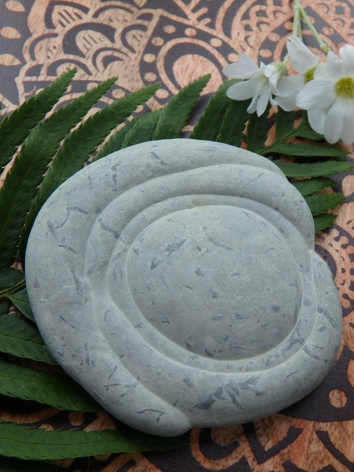  Canadian Fairy Stone Free Form Natural Specimen