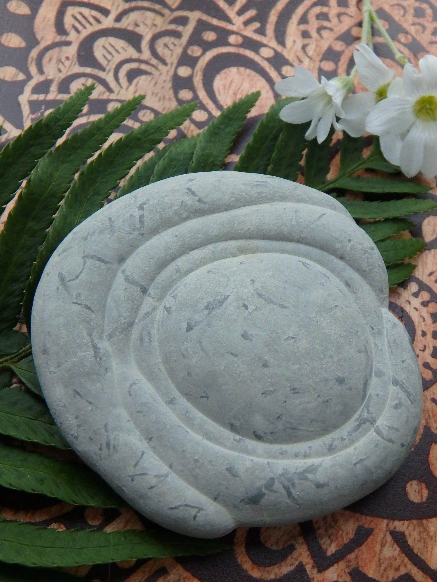  Canadian Fairy Stone Free Form Natural Specimen