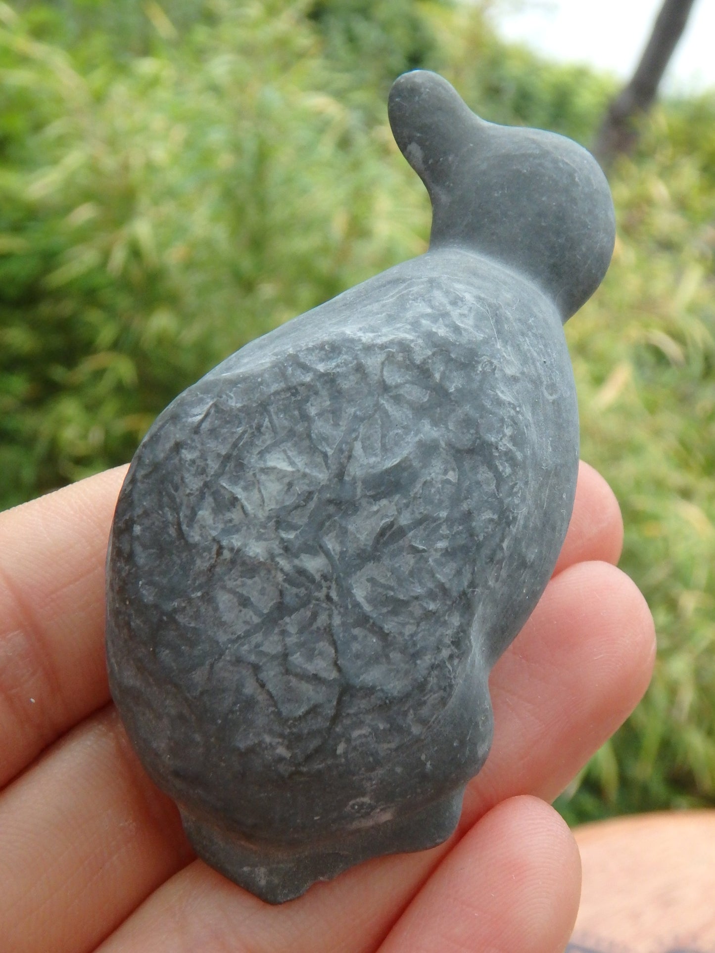Special Birdy Fairy Stone  Natural Specimen From Quebec, Canada - Metiz Tier Price